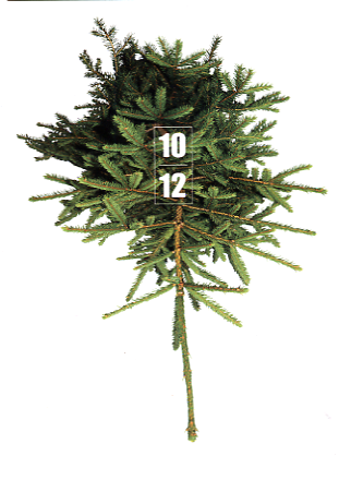 X-MAS SHOP 10/12 an alternative market 04 > 24.12.2015 openning 03.12.2015 18:00 Tous les jours 13:00 > 19:00
