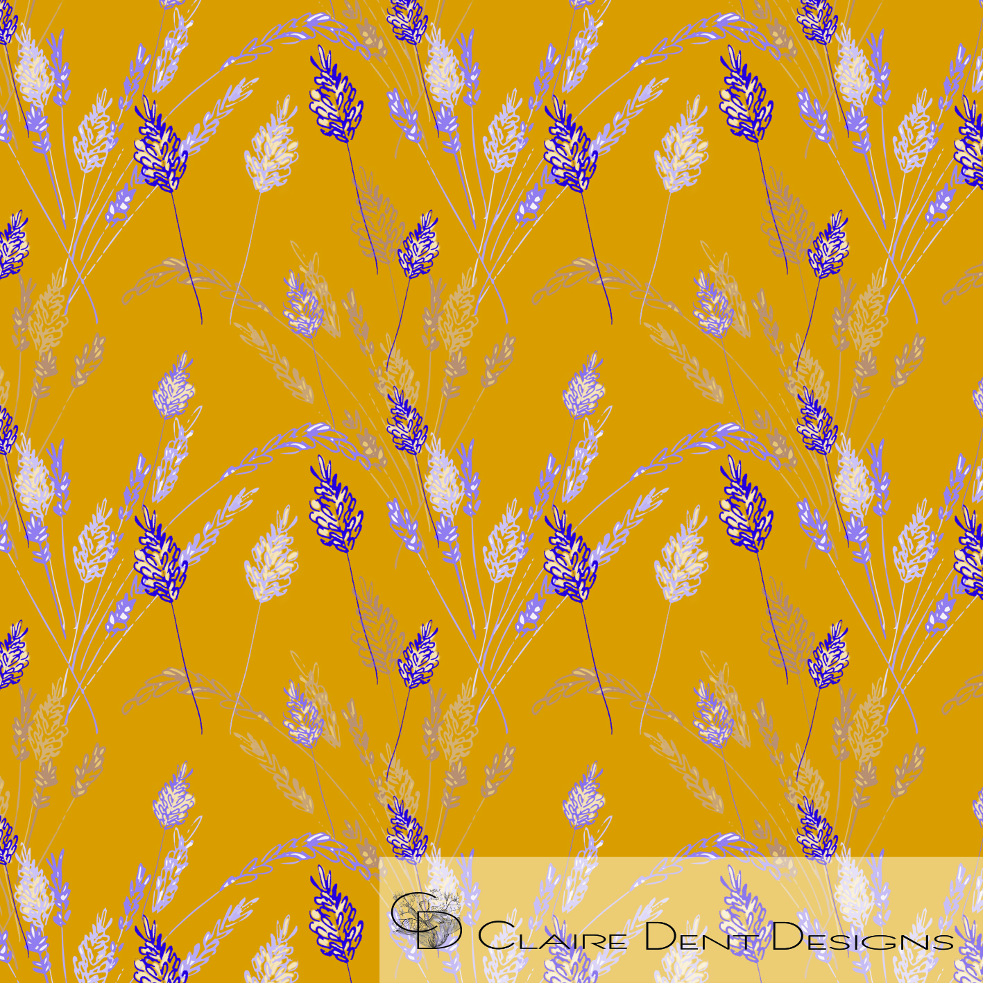 Lavender Fields