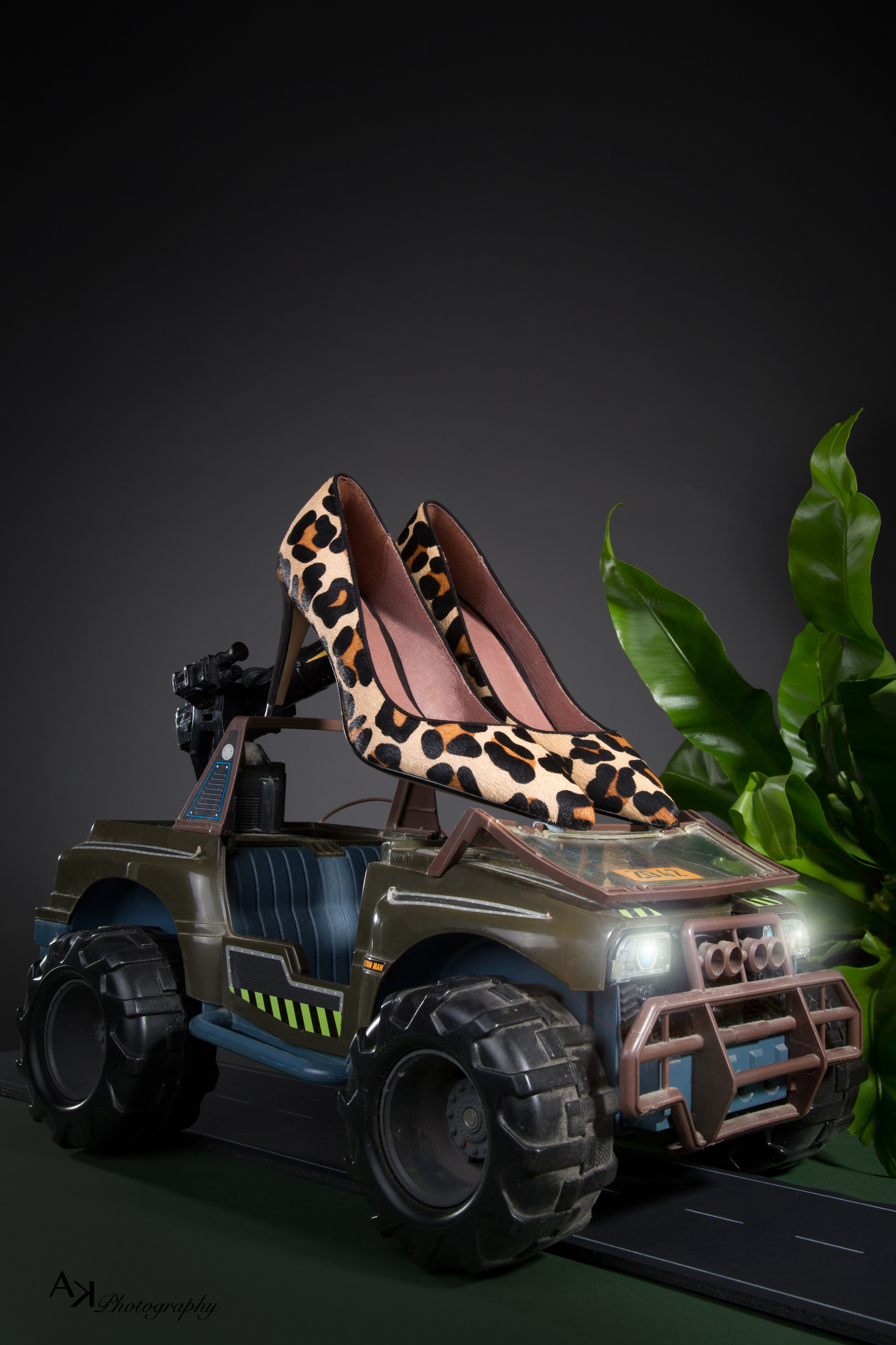  Luxury Shoe Campaign: "Take Me Where I'm Going" #2 Safari Style 