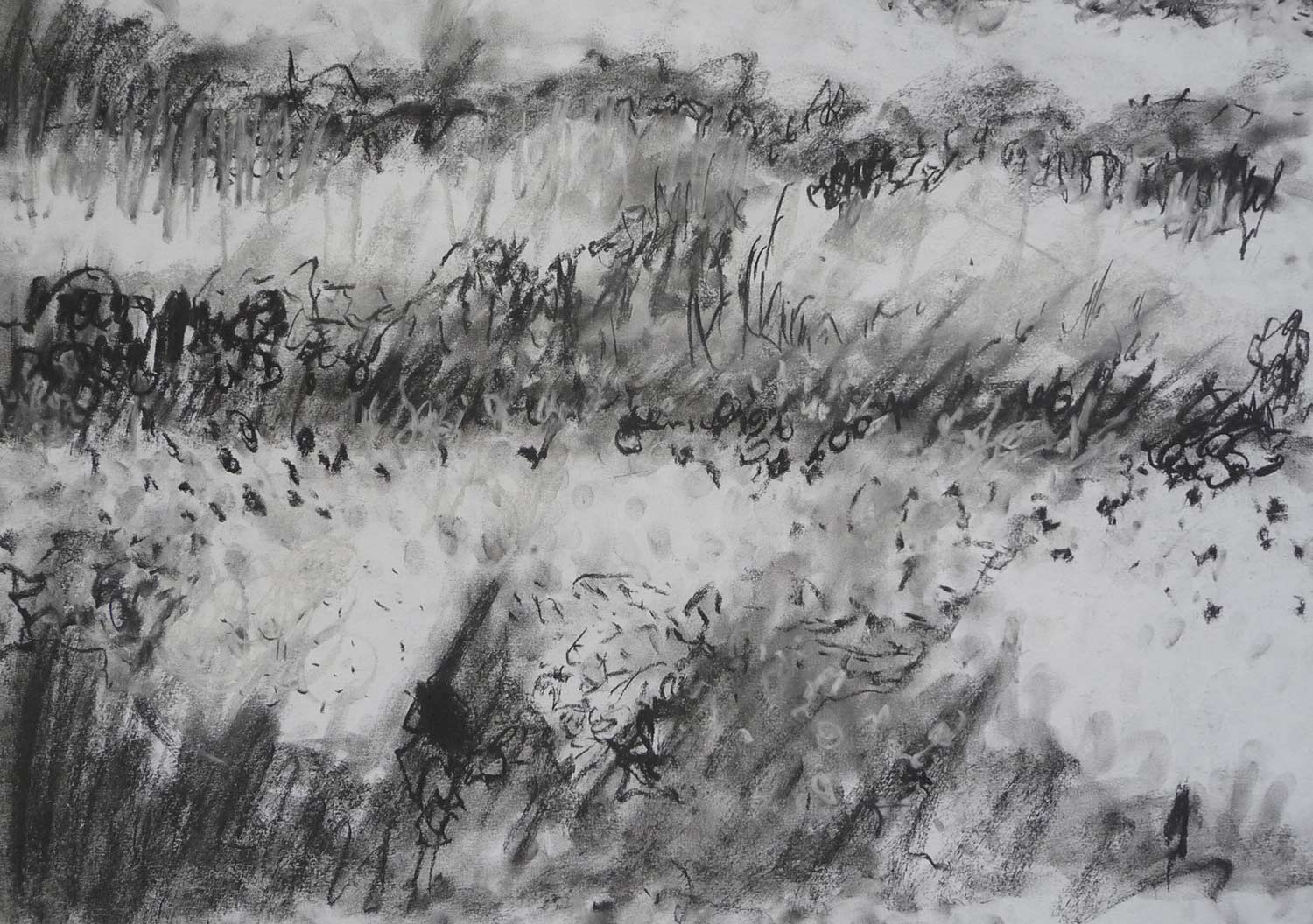 dark-drawing-flower-borders-black-and-white.jpg