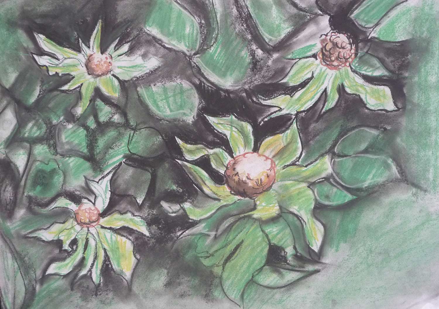 dark-drawing-leafy-flowers.jpg