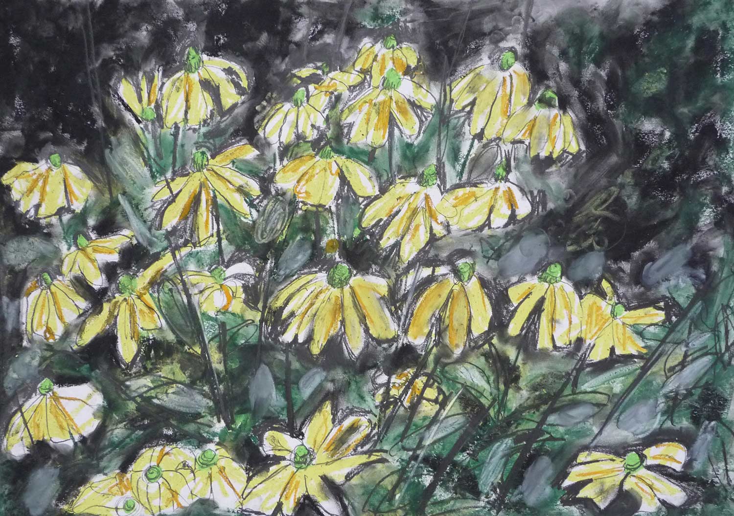 dark-drawing-rudbekia.jpg