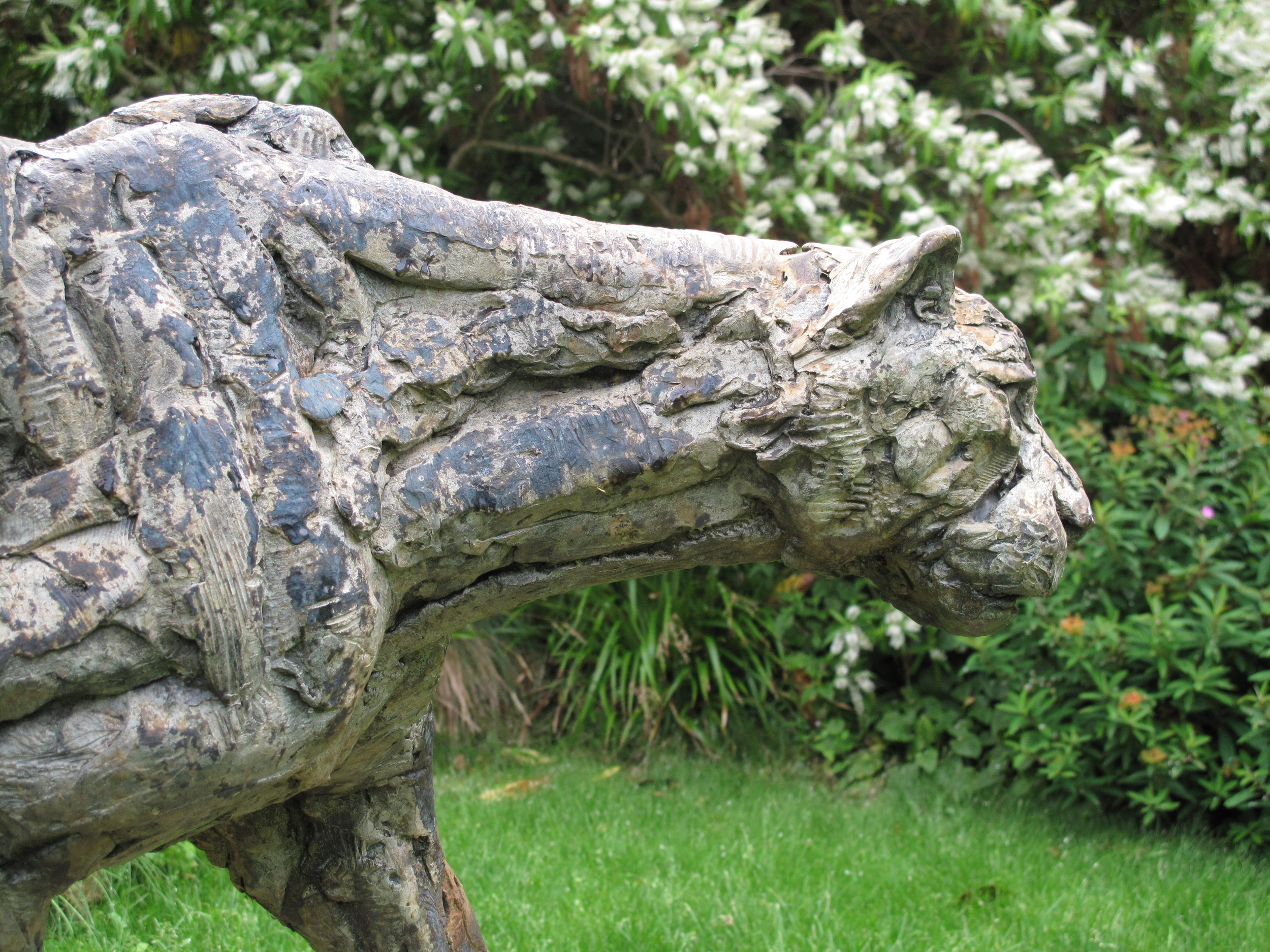    Cheetah &nbsp;2008    Bronze    Hamish Mackie    Lives &amp; works in Oxfordshire  