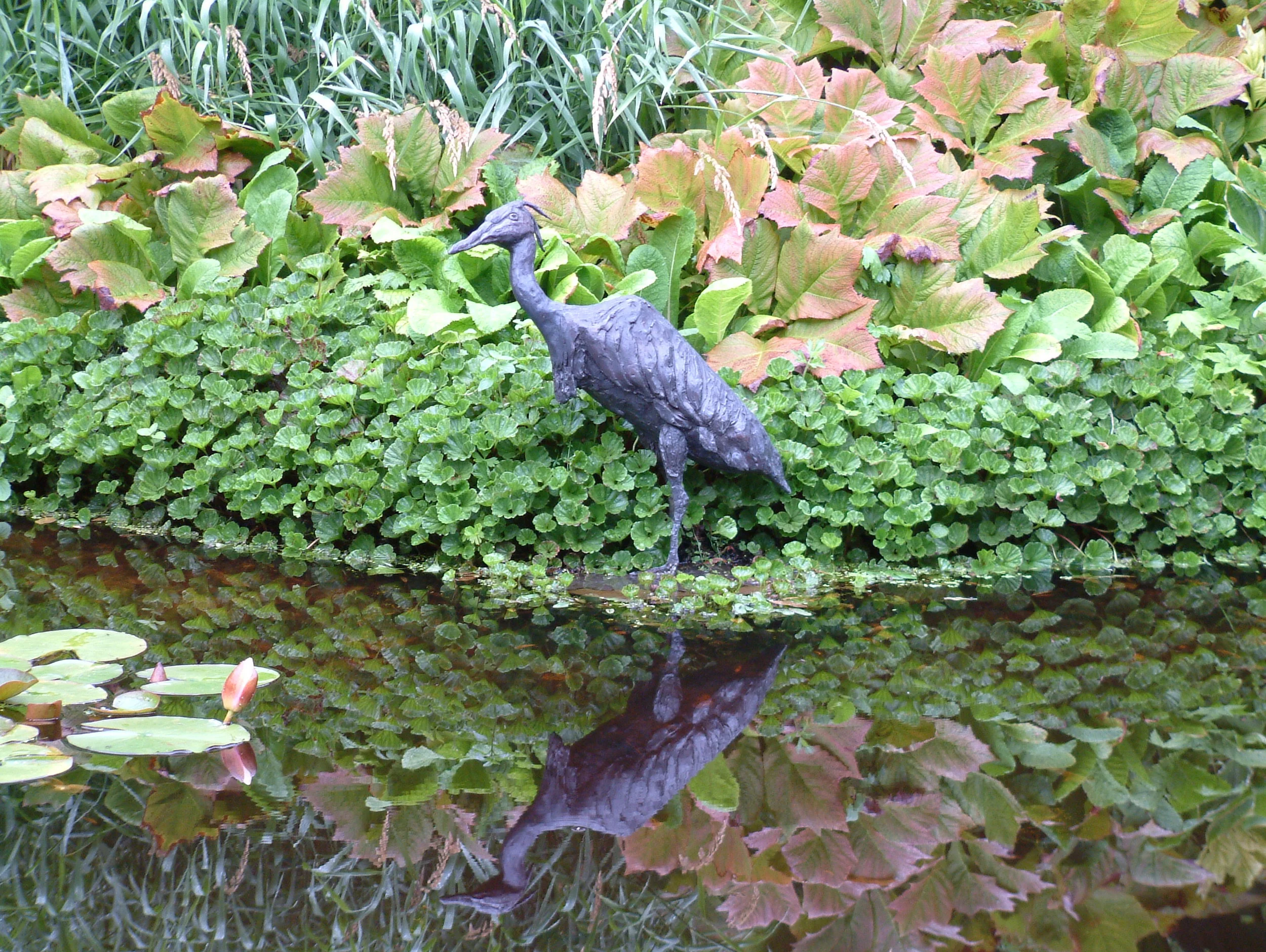 20.8.05 attadale garden 005.jpg