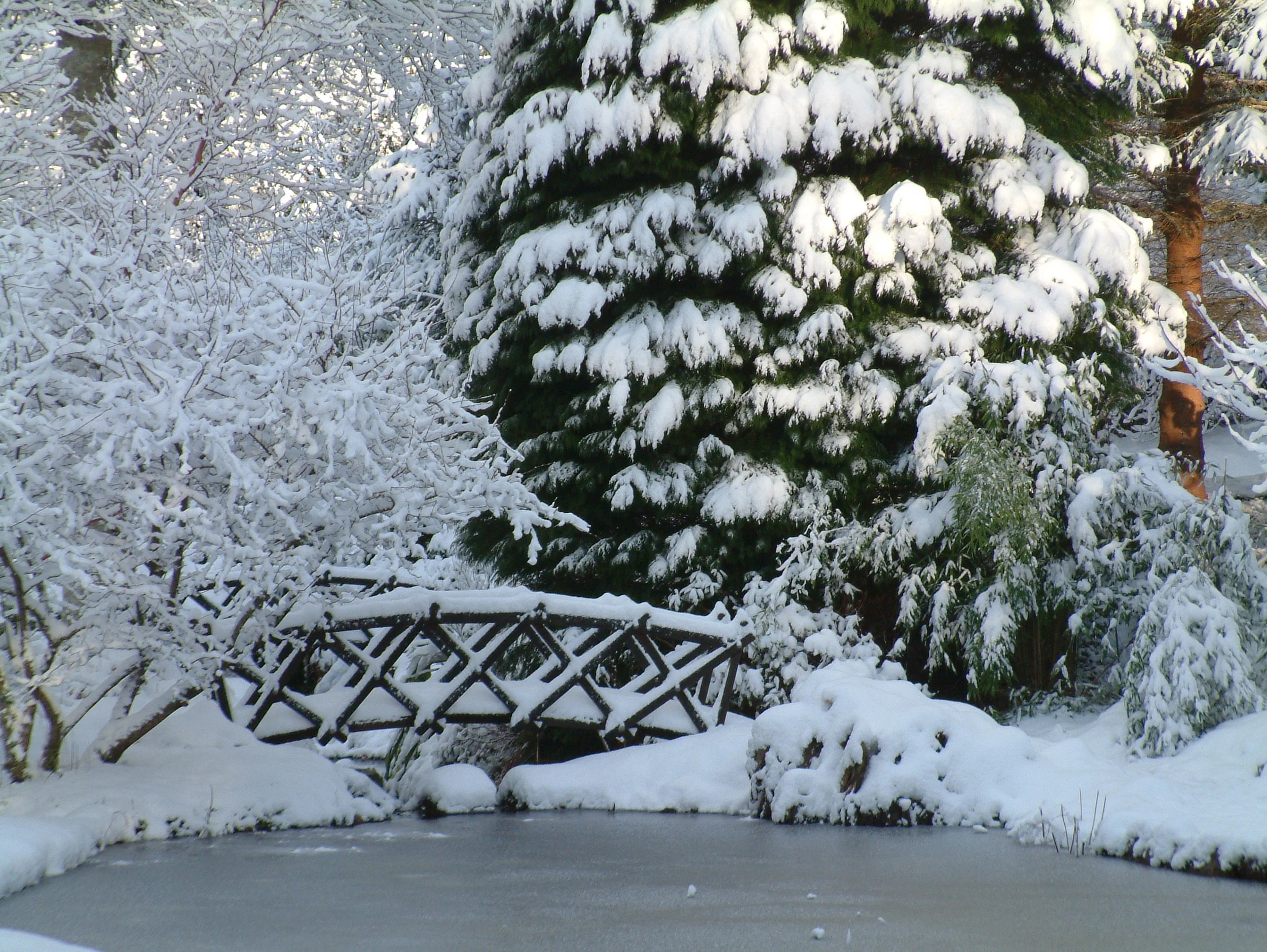 snow at attadale 2.3.06 012.jpg
