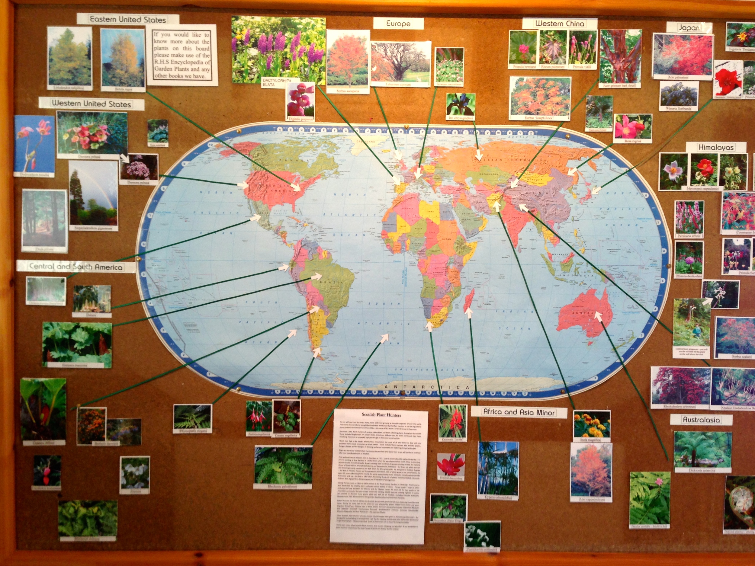 World map with links to plants at Attadale