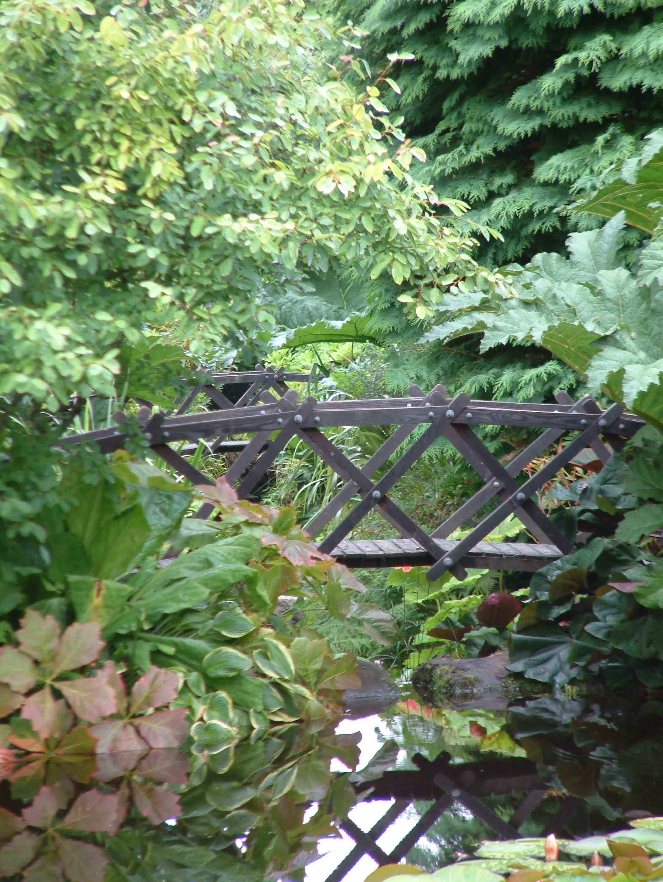 20.8.05 attadale garden no2 018.jpg
