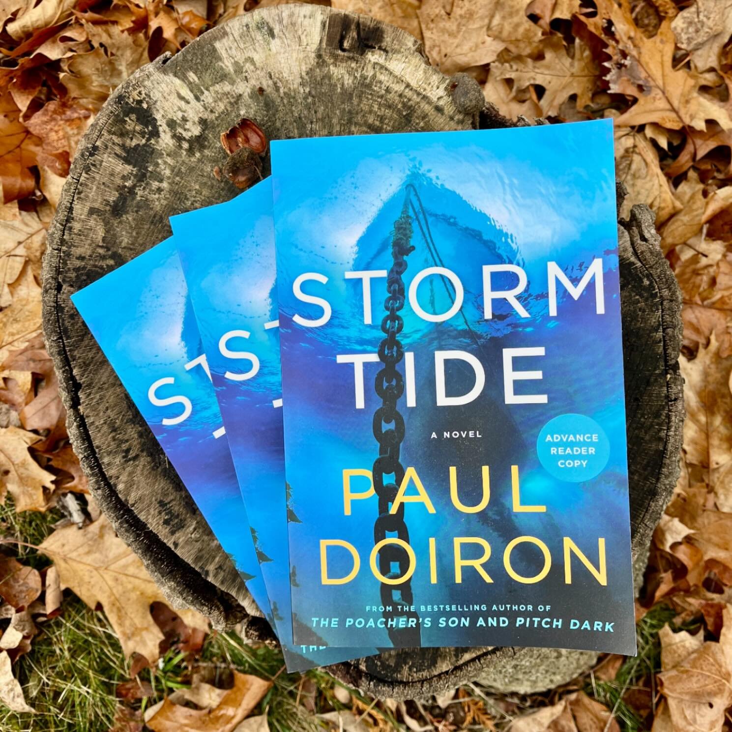 The galleys have arrived! (A book never seems real until I see it in print.) These are just the rough, typo-ridden paperbacks of STORM TIDE which will be published in hardcover, audio, and ebook on 6/30. For the impatient among you, my publisher is m