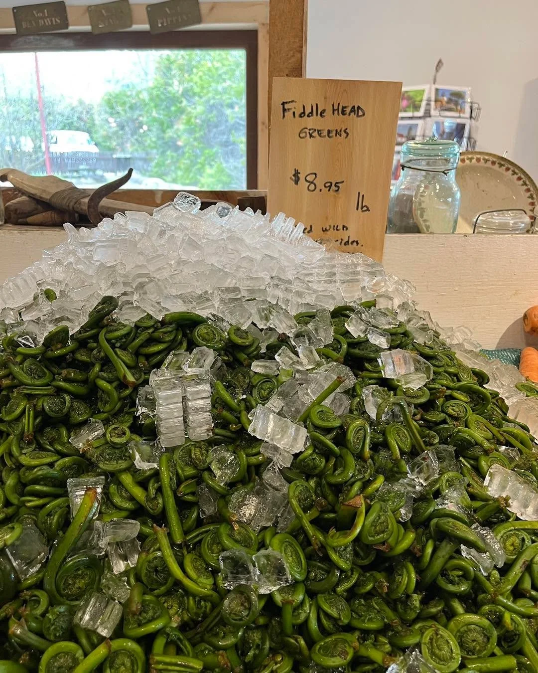 It&rsquo;s the most wonderful time of the year. (I know fiddleheads are an acquired taste.). For the next few weeks Mike Bowditch and I will be eating an unhealthy amount of these. #maine #mainefood #fiddleheads