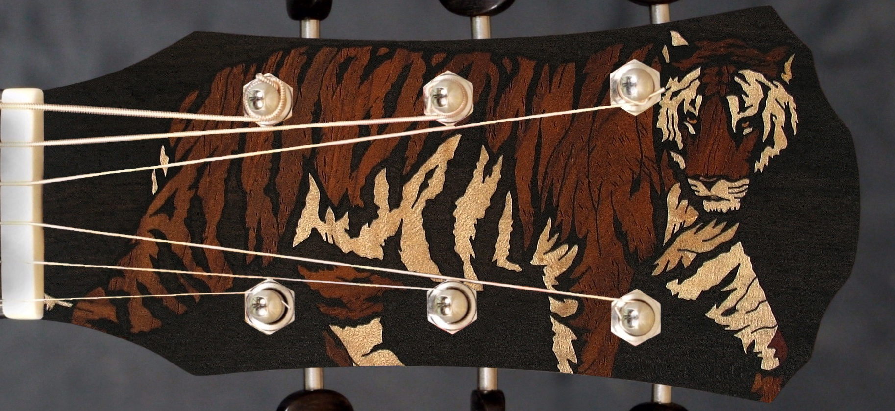 TIGER HEADSTOCK