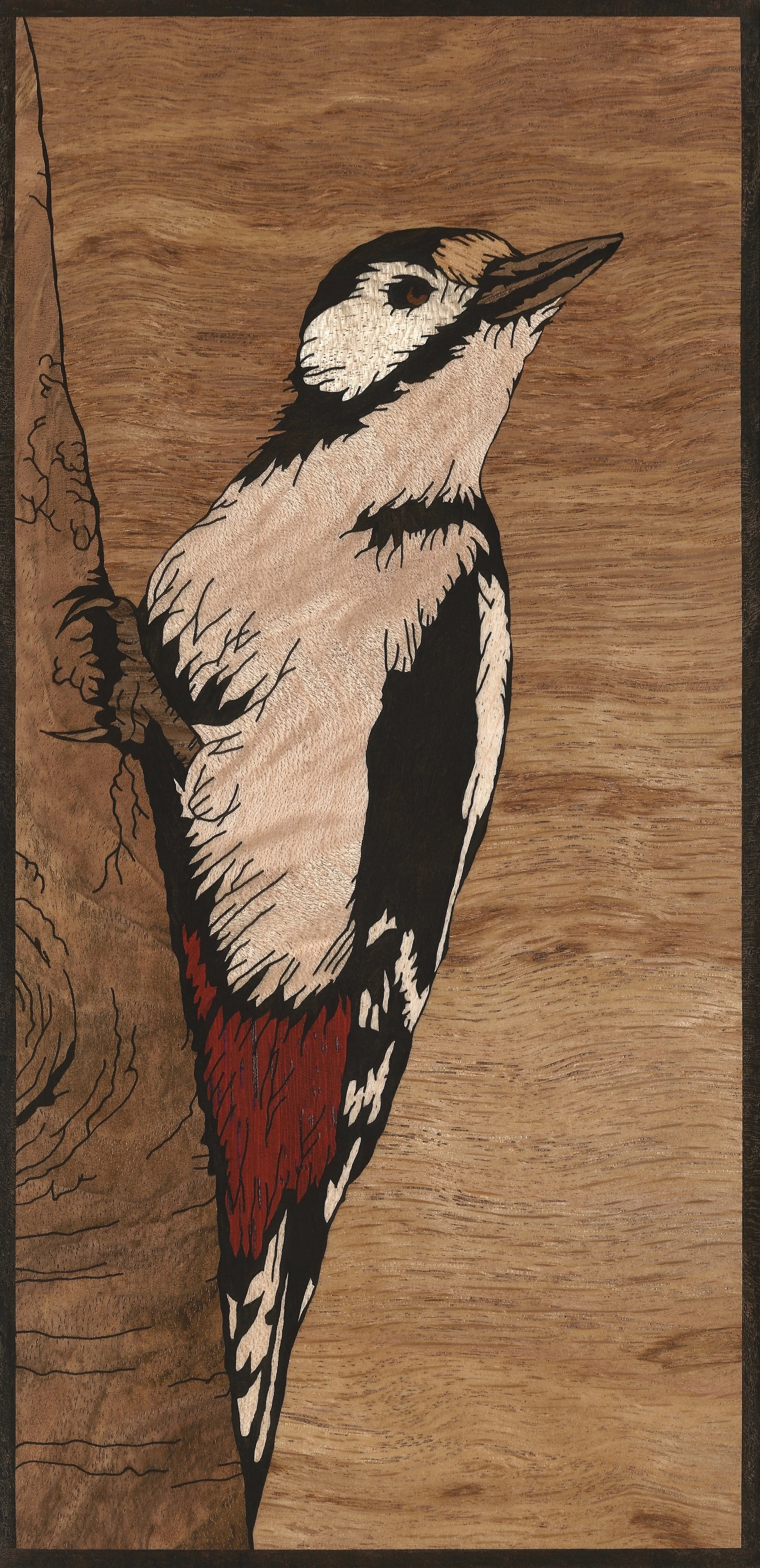 WOODPECKER 4