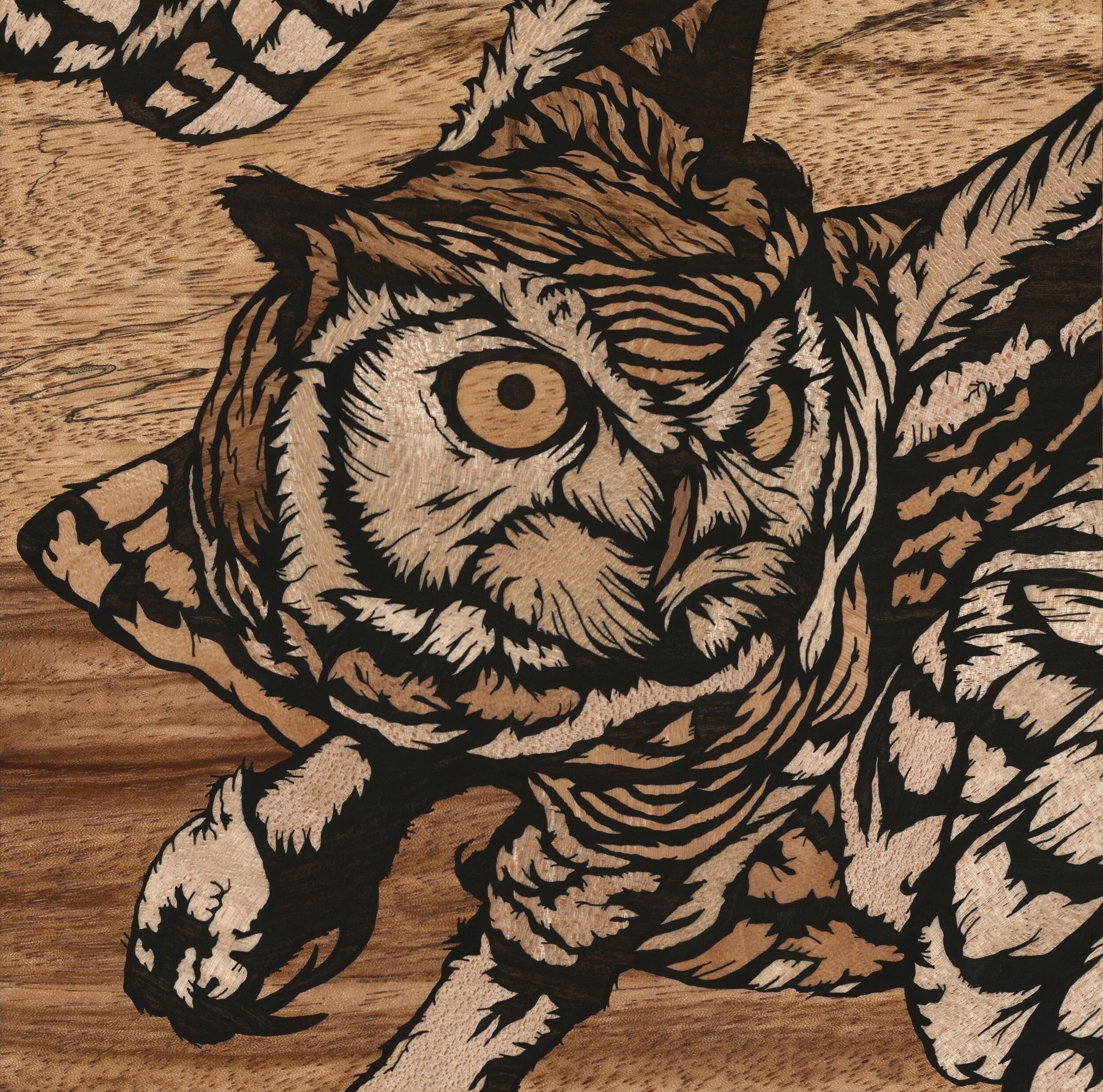 Owl inlay jan 2021 (birds)