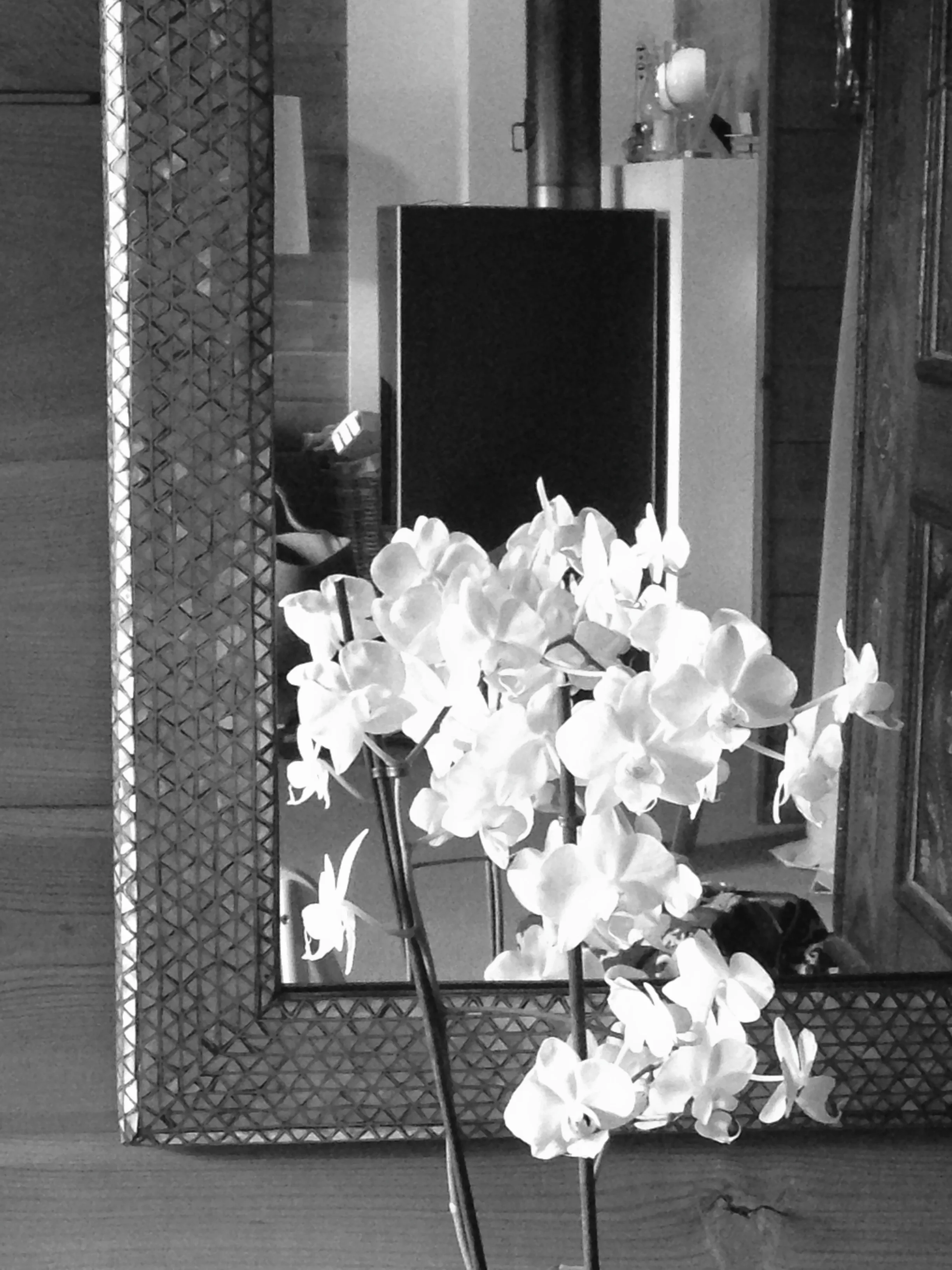 cassidah website frame w background b w large .jpg