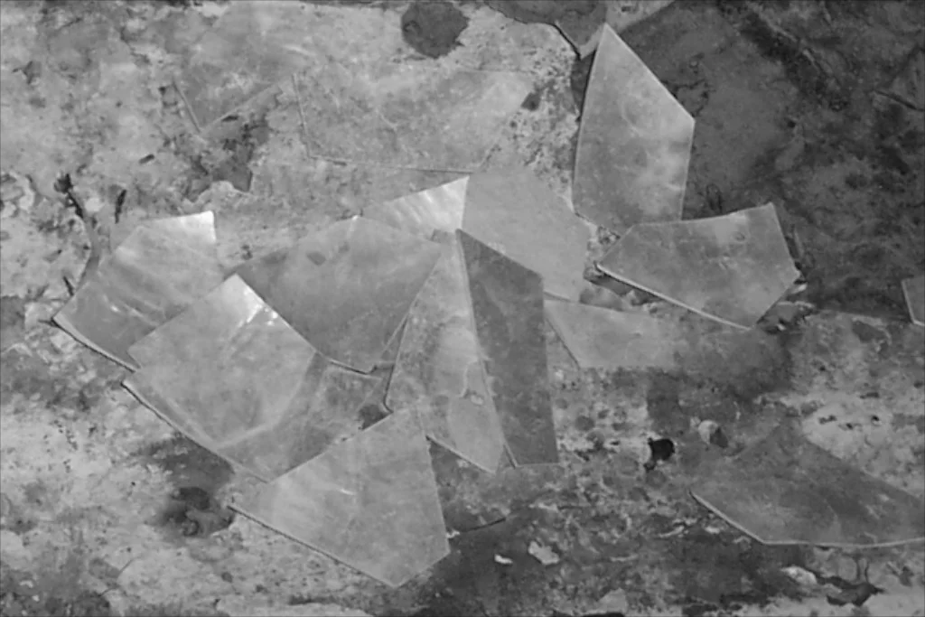 Copy of Unprocessed mother of pearl