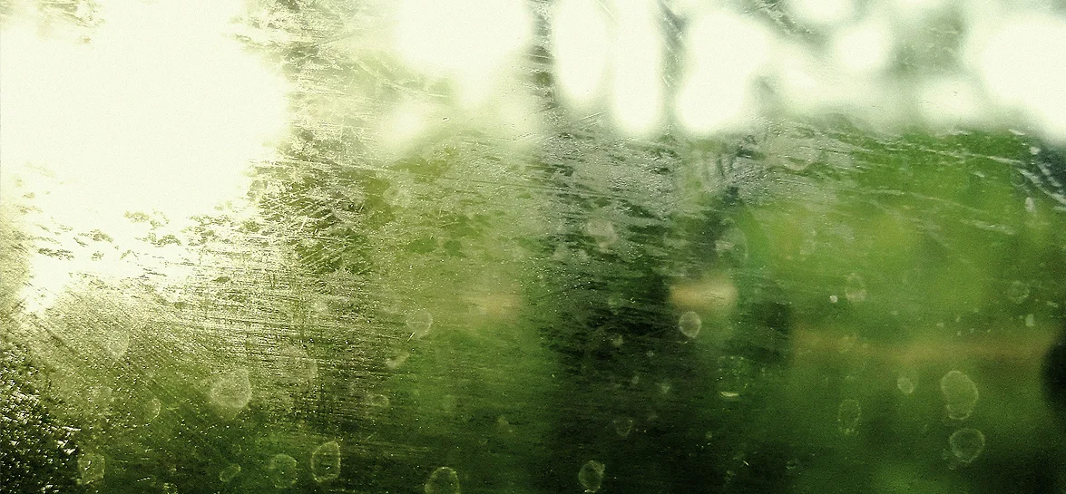 windowstudy.jpg