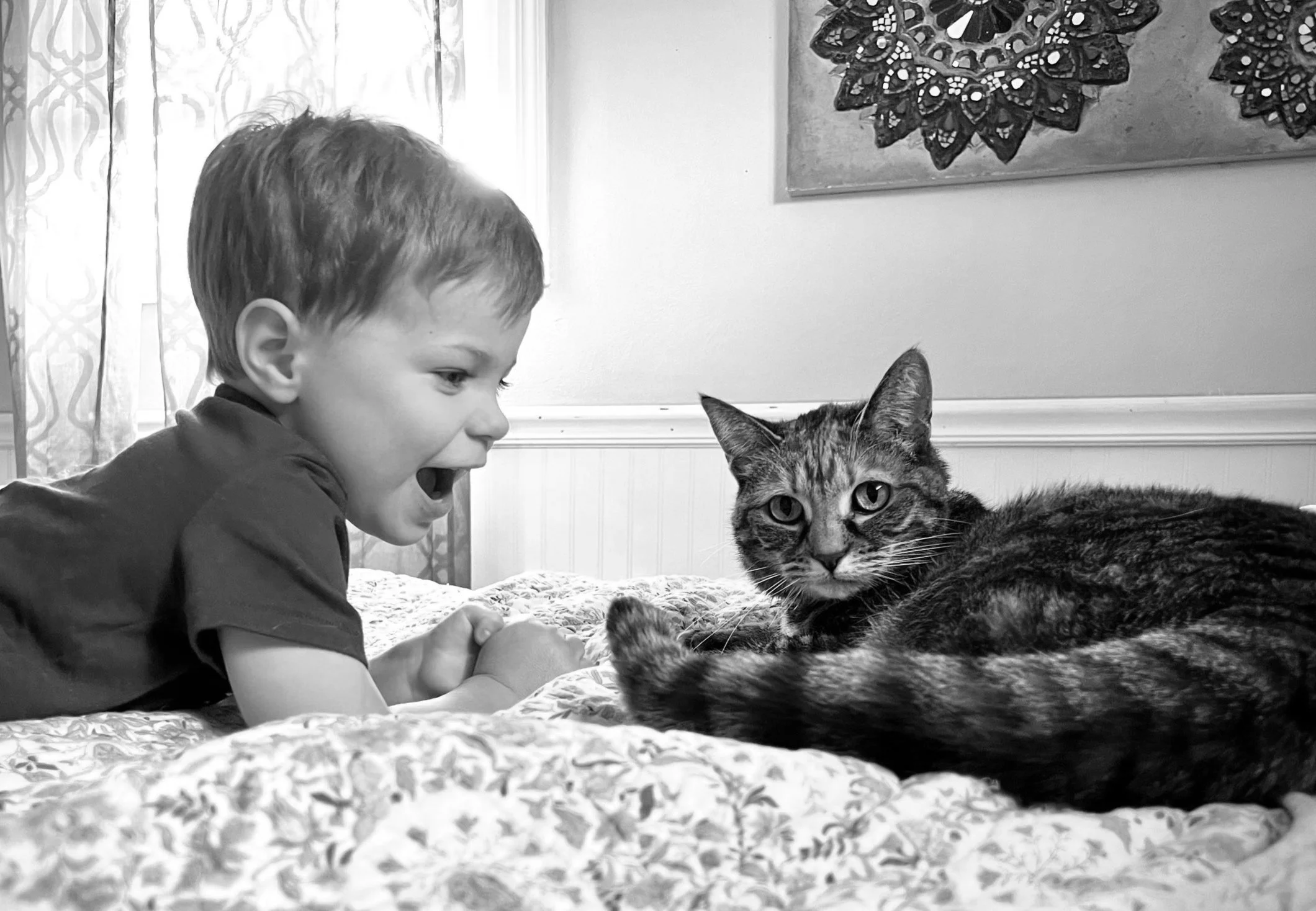 Private Dog Training — Pawsitive Pet Behavior, llc