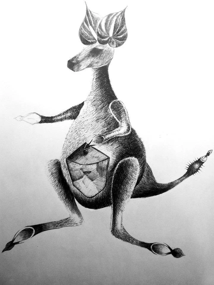 kangaroo.jpg