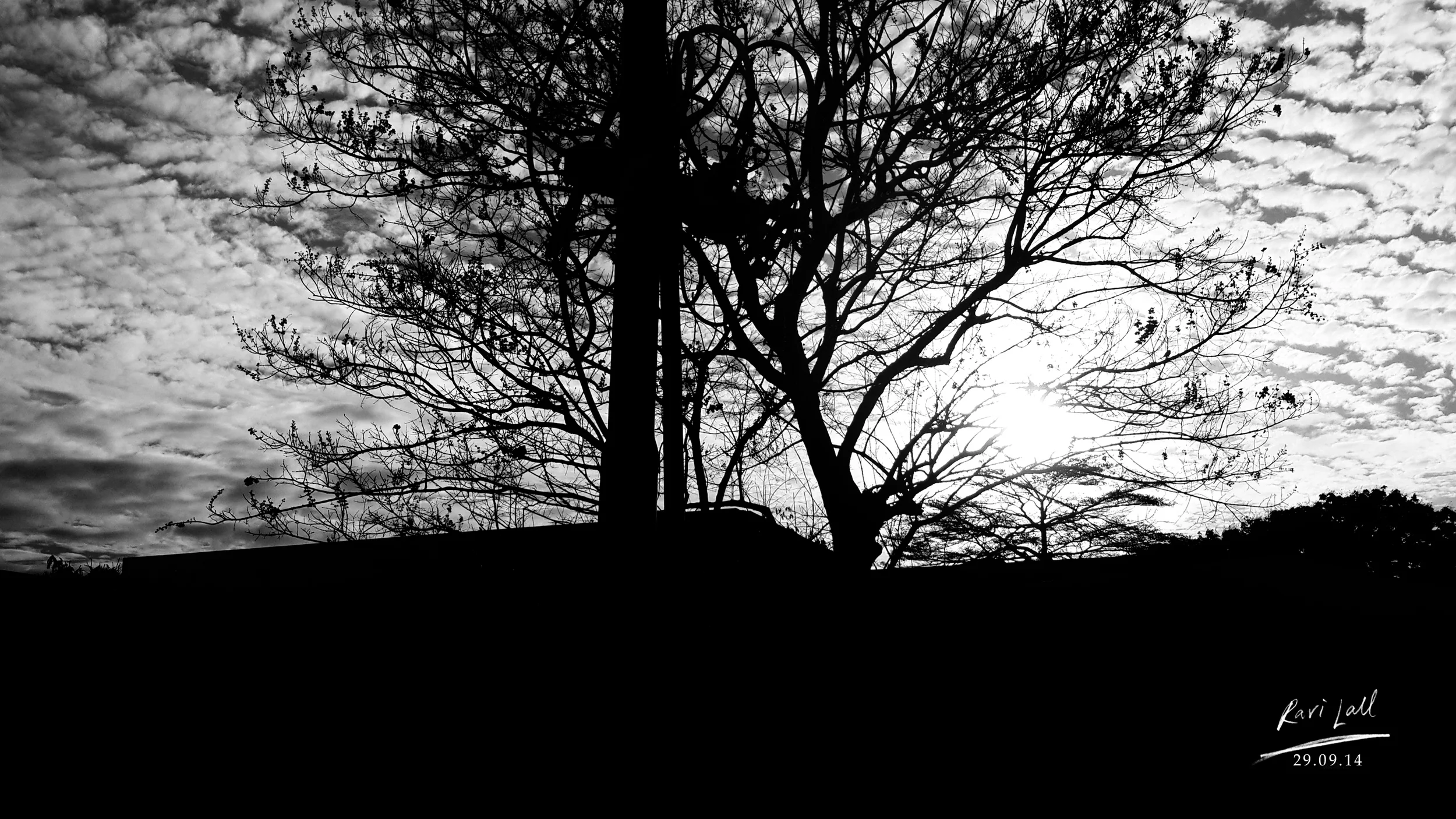 bw curdled clouds 1.jpg