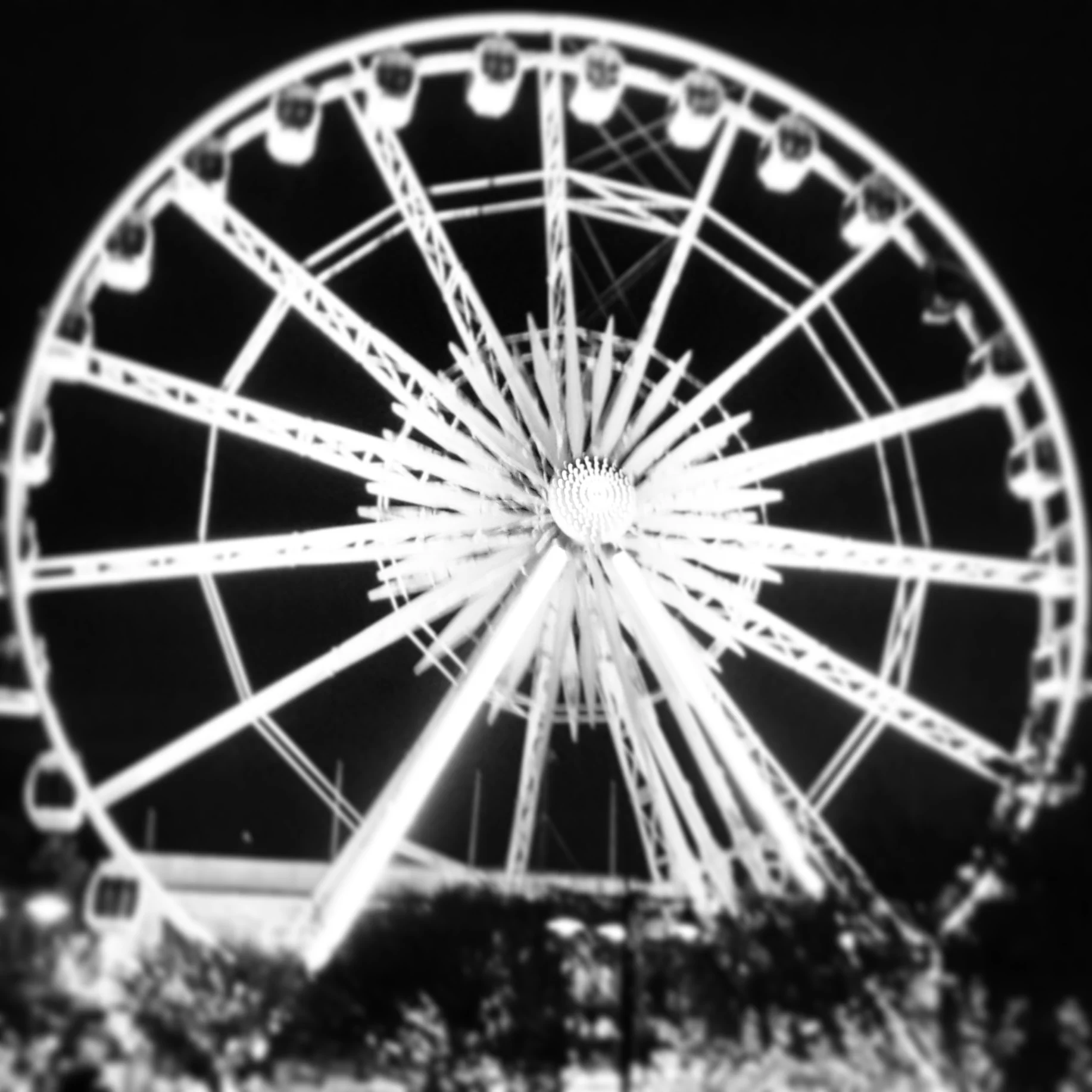 IMG_20150325_180519.jpg