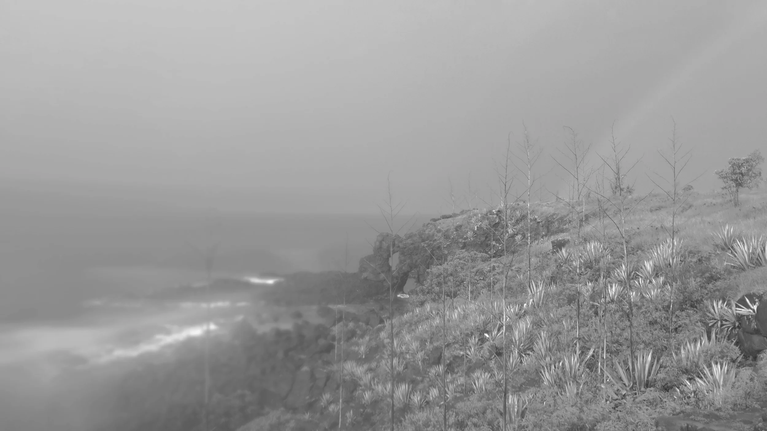 20160122_171506.jpg