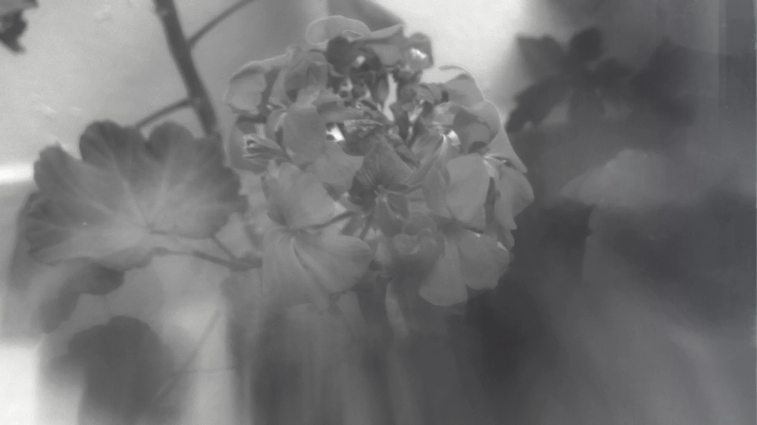 20160131_161722 2.jpg