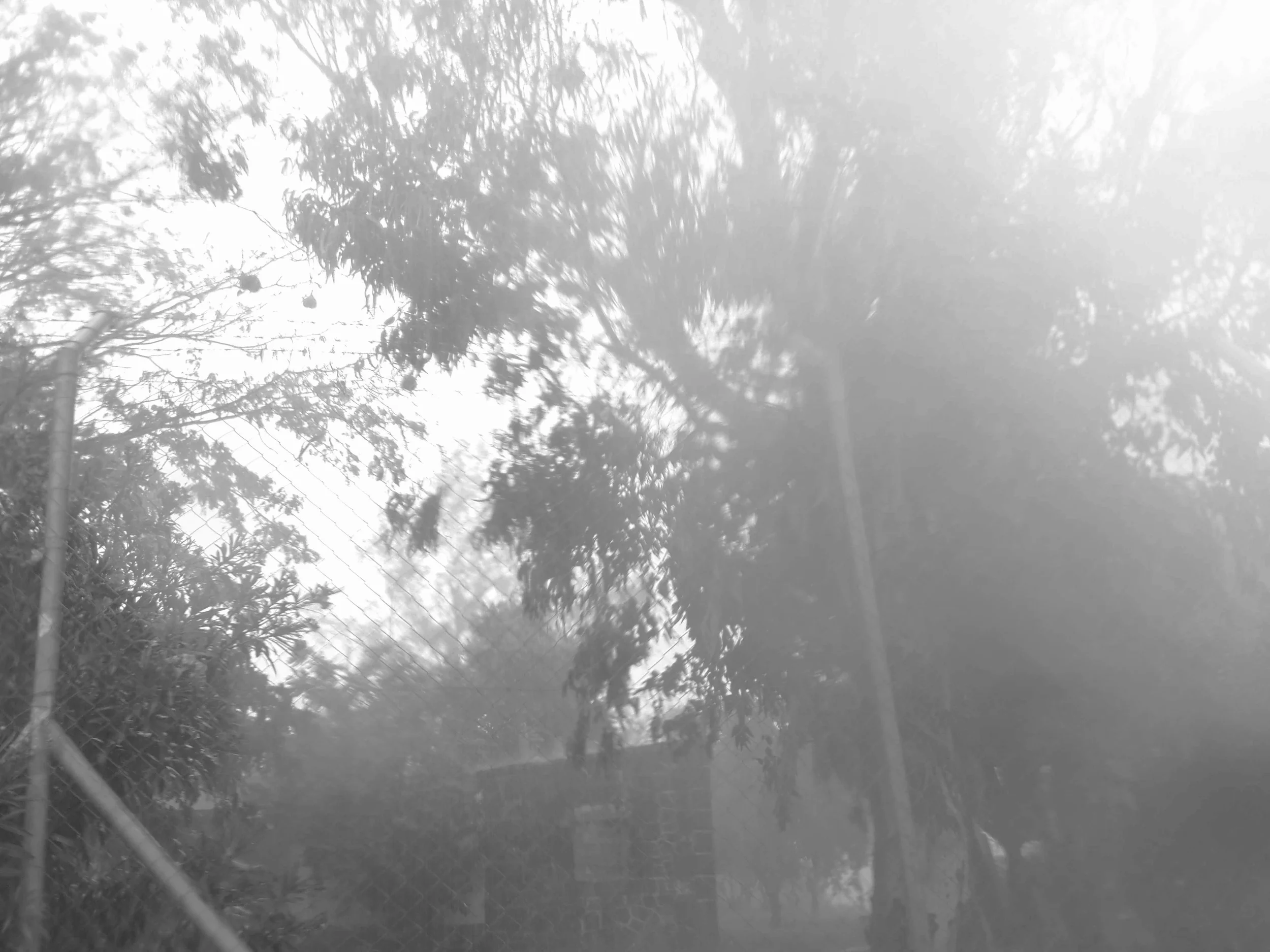 IMG_20160122_163323.jpg