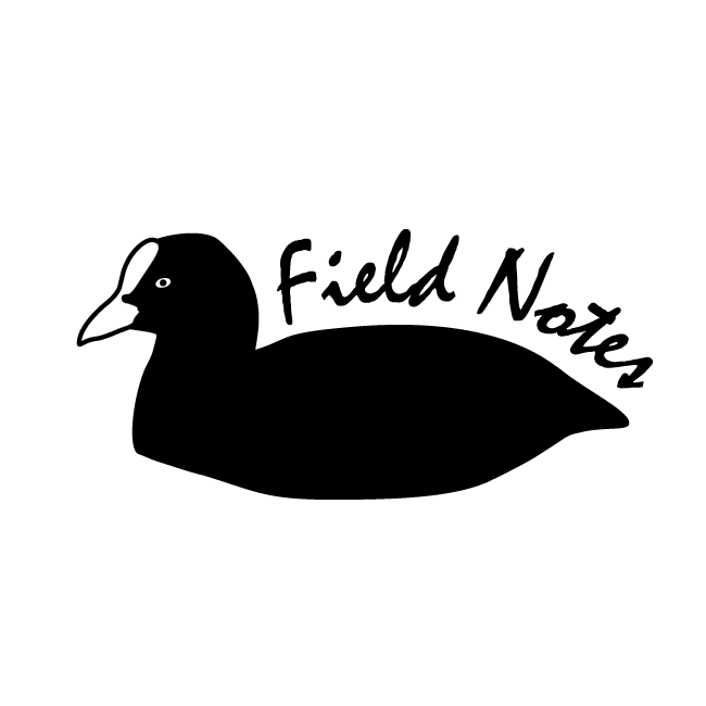 Coot_Logo_transparent-01.png