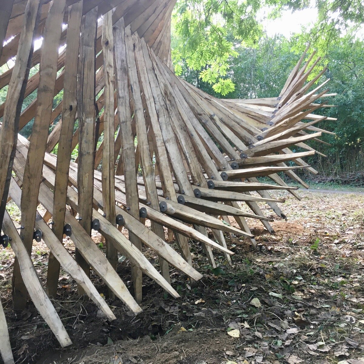 Tri-Helix - 8 of 10.jpg