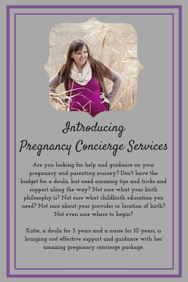 IntroducingPregnancy Concierge Services.png
