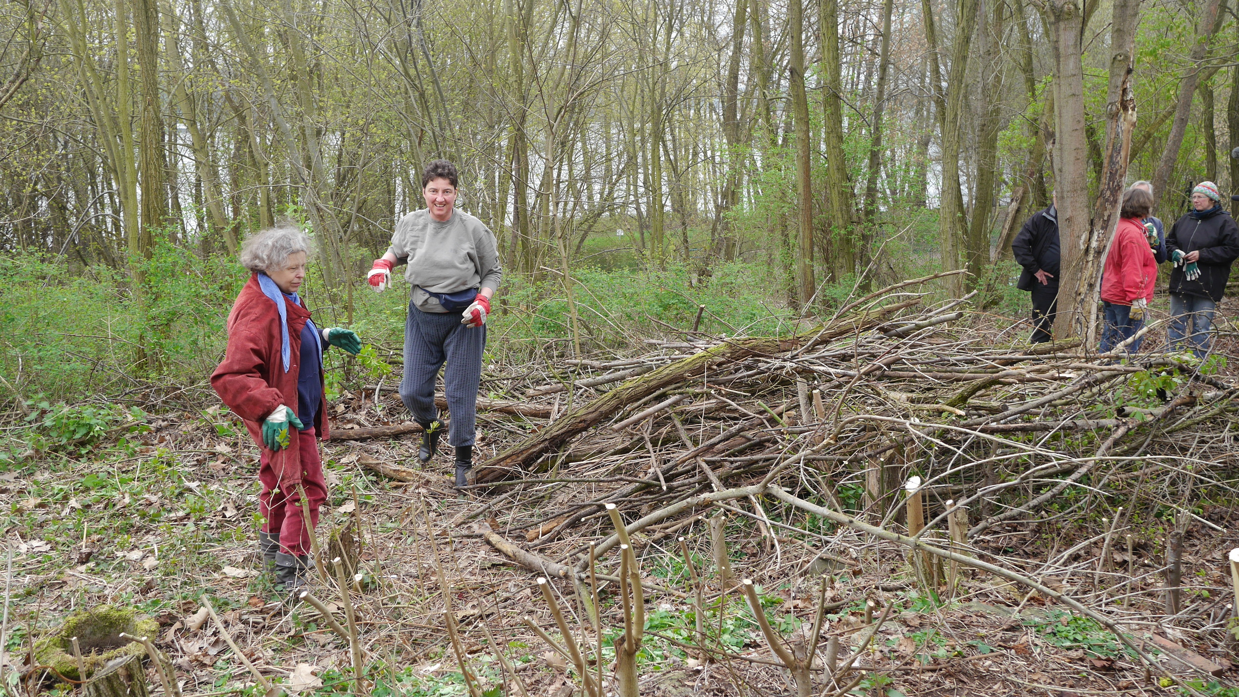 Women cleanup trees.JPG