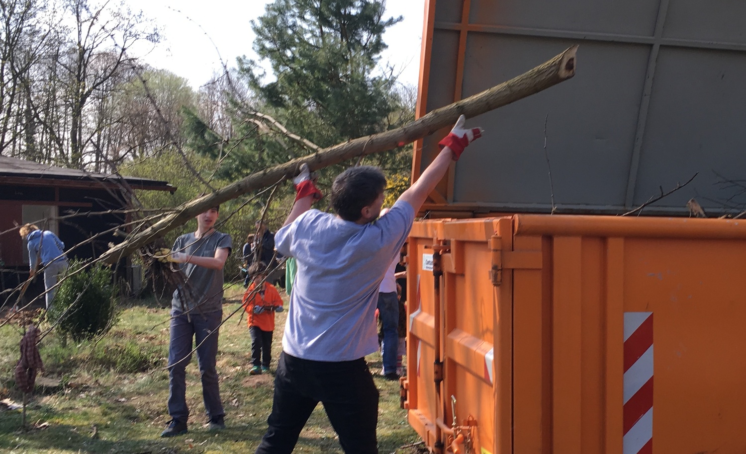 tree+container+big.JPG