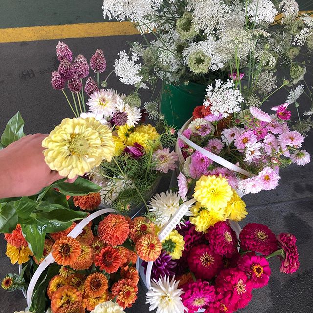 Pesticide free flowers en route for le weekend at B&acirc;tard from @eandefarm 🥰💐#fraserhood #farmtoshop #yvrflowers