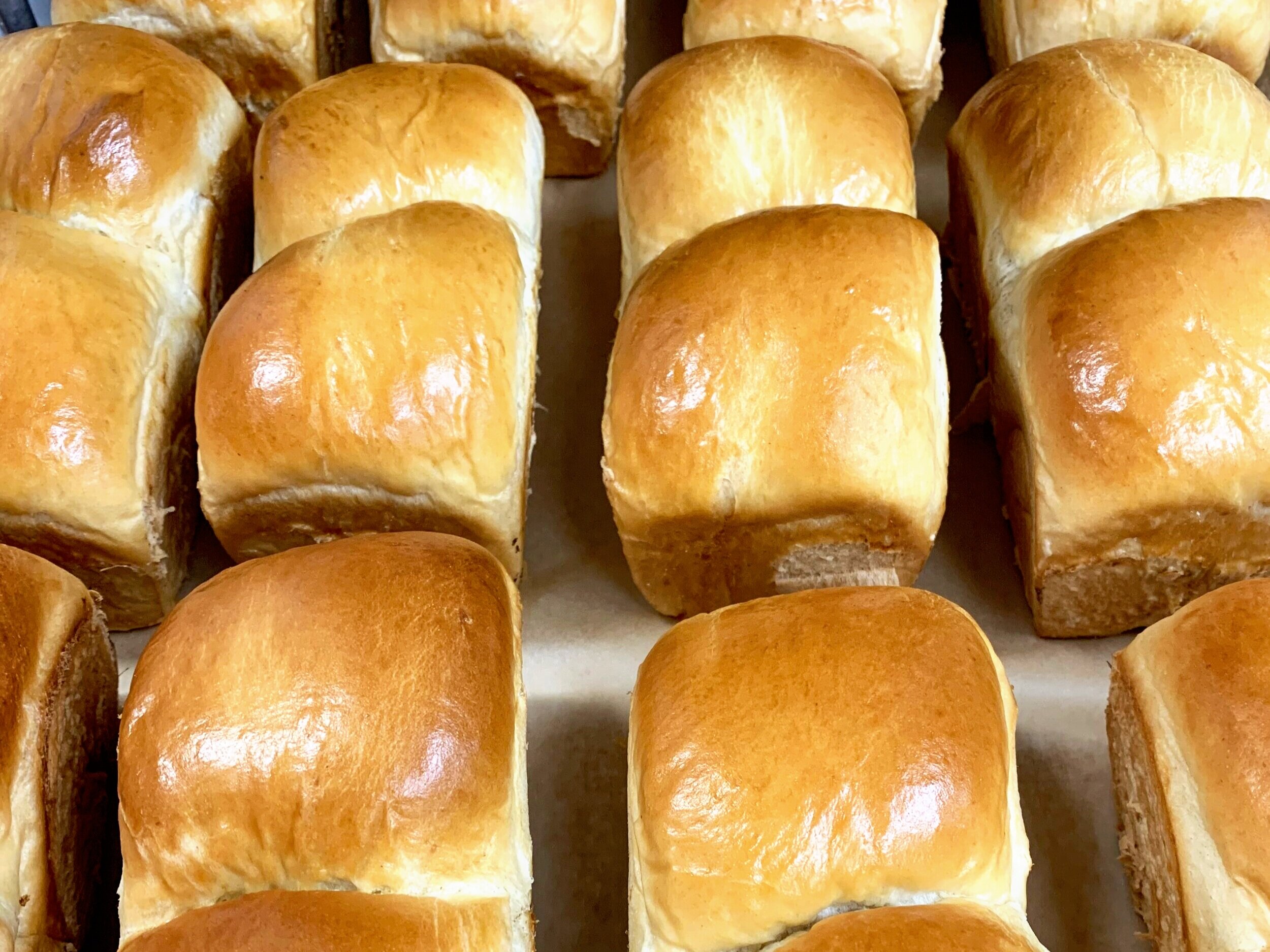 Milk Bread (Challah on Friday)