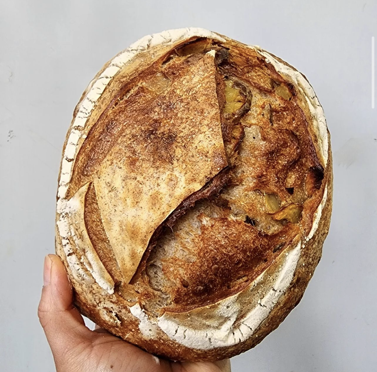 Levain with Roasted Potato and Confit Garlic