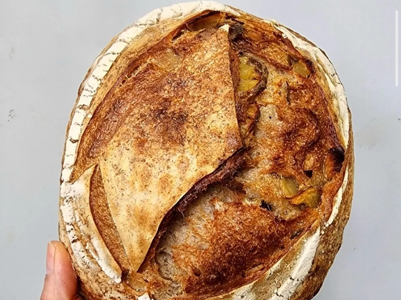Potato%2Blevain.jpg