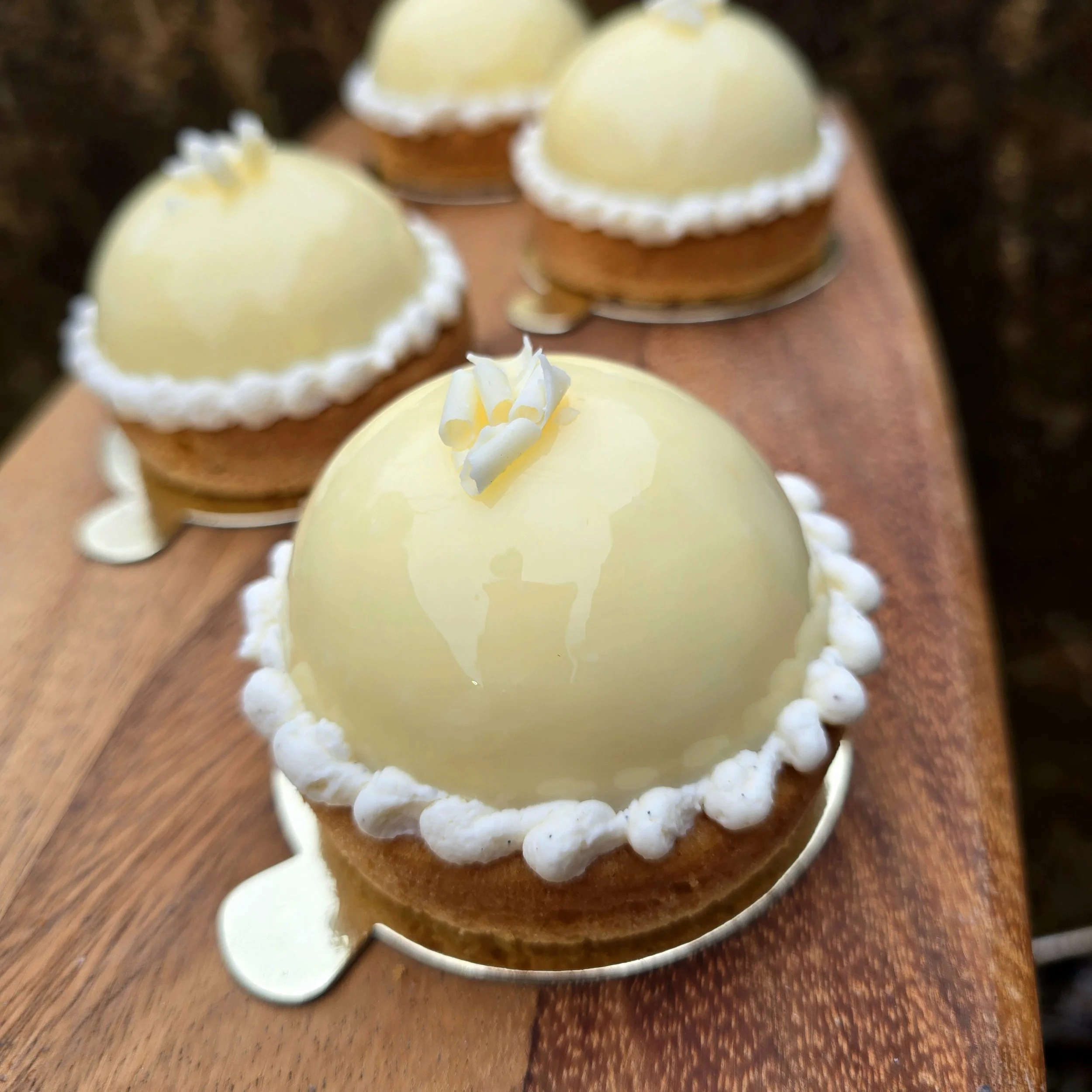 Vanilla & Apricot Cheesecake