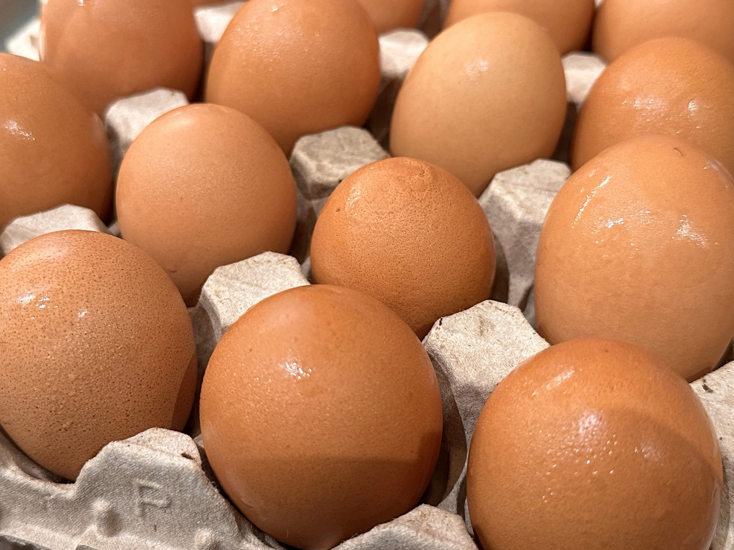 Free Range Farm Eggs