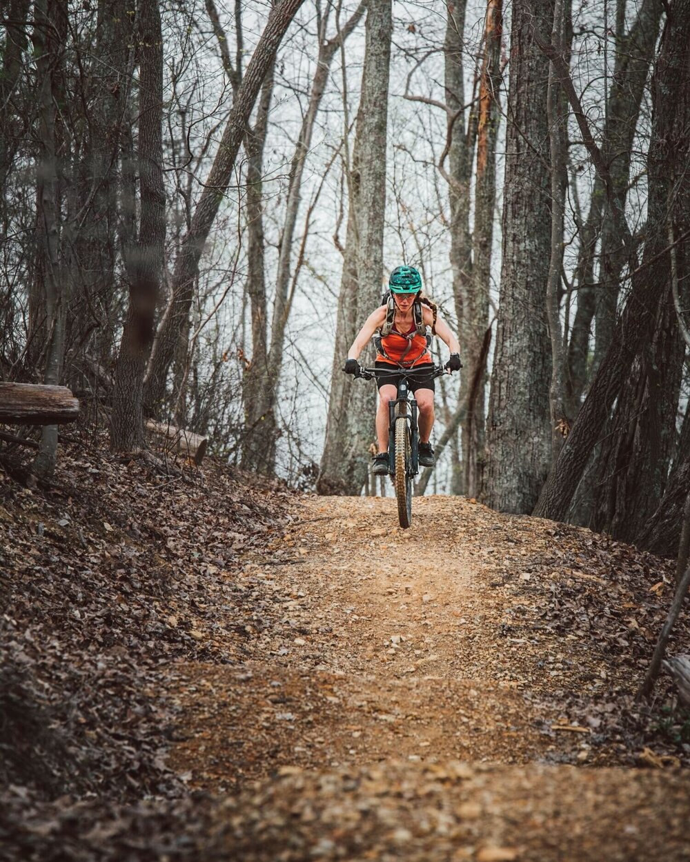 Local Trail Systems — SORBA Chattanooga