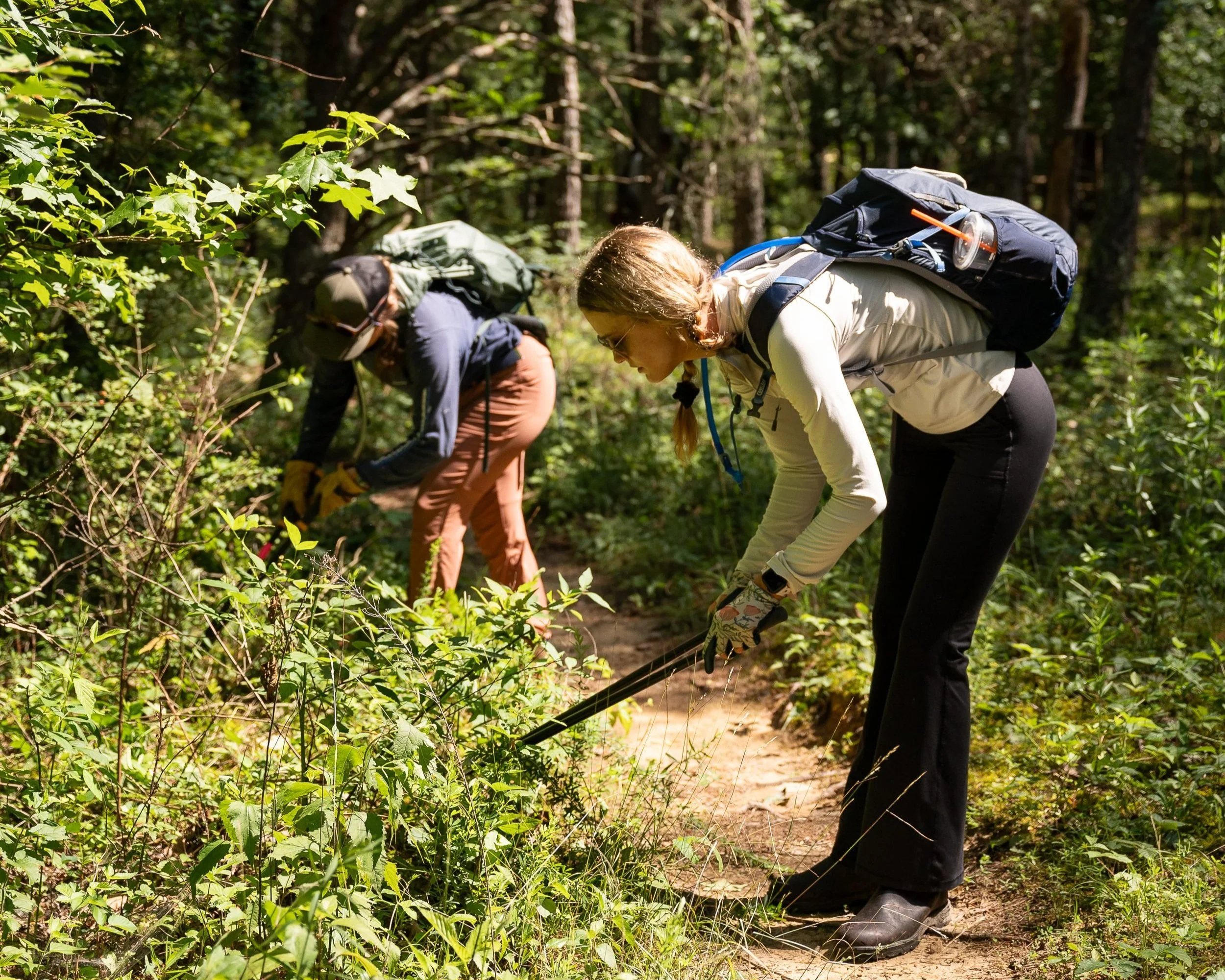Day of Caring - Invasive Species Removal at Booker T. Washington State Park