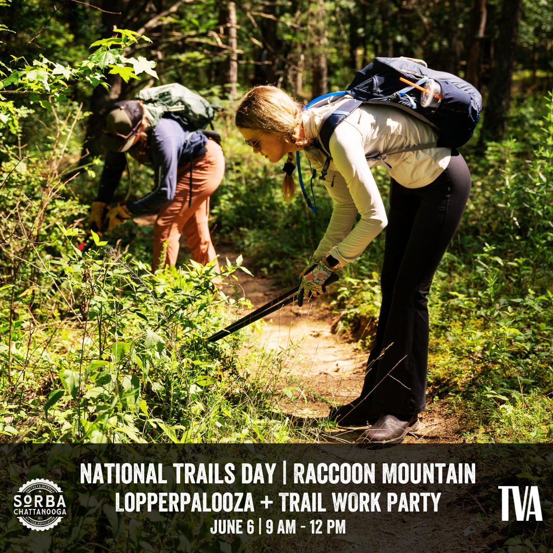 National Trails Day | Trail Work Party at Raccoon Mountain