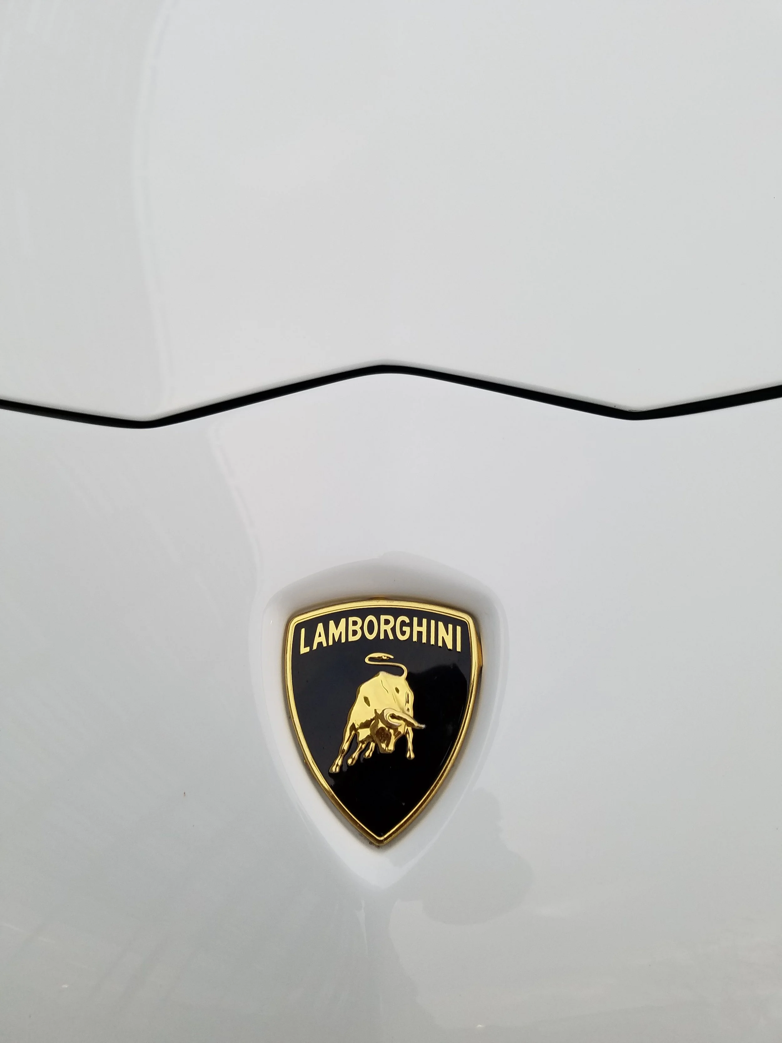 Rent a Aventador (SV Package) in Houston — Exotic Car