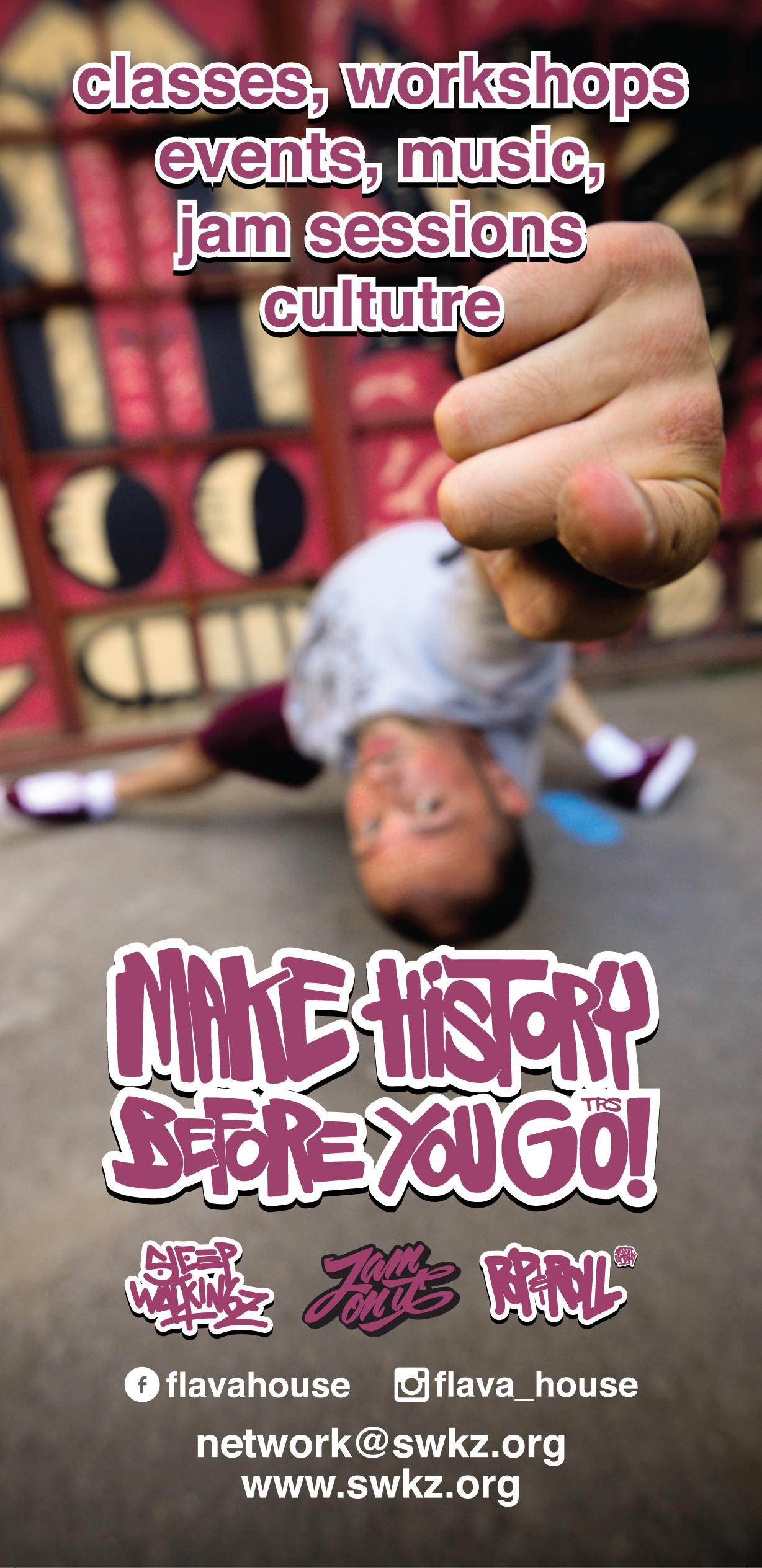 Flava House Back Flyer100x210-01-01.png