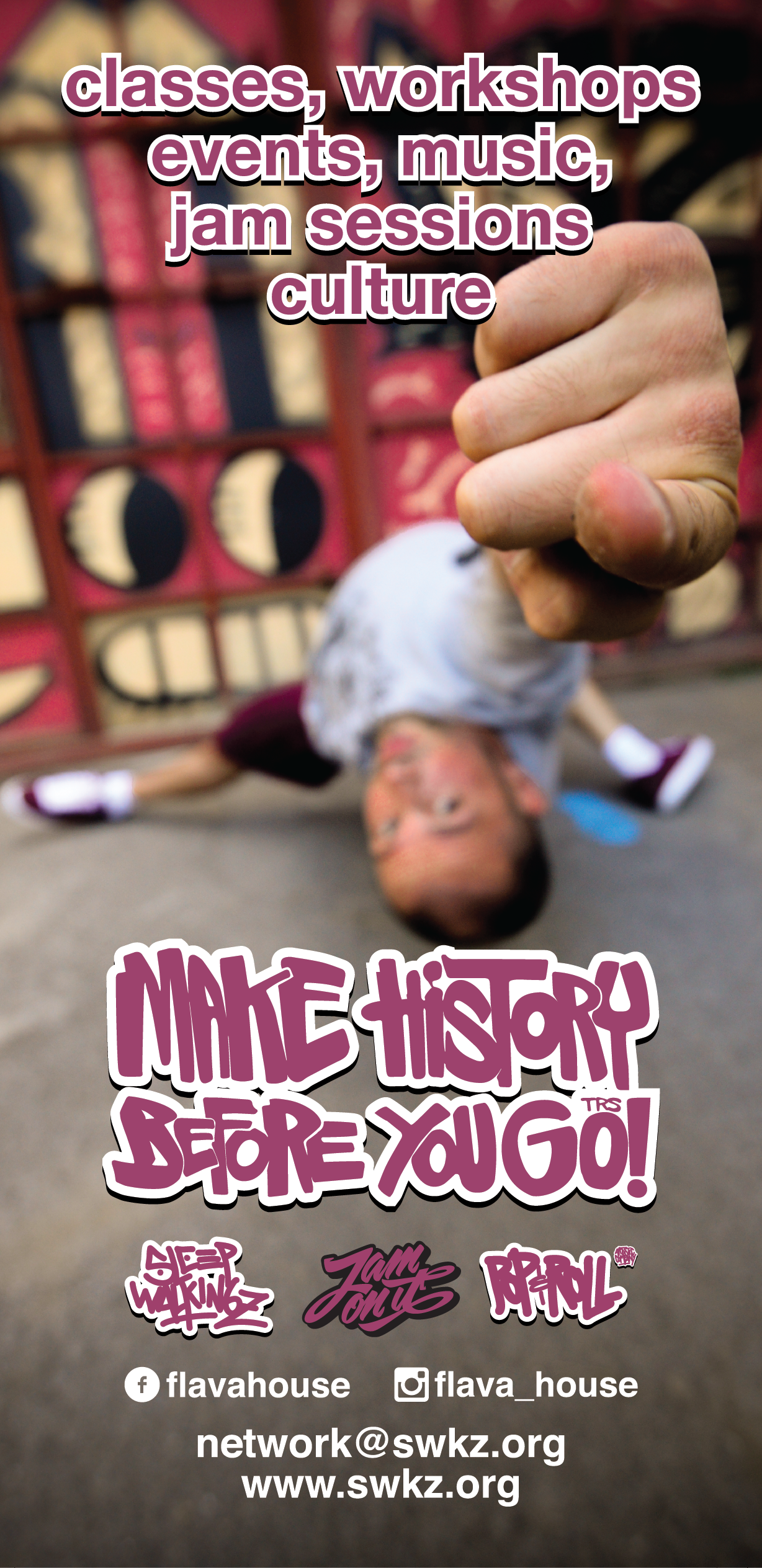 Flava House Back Flyer100x210-01-01.png