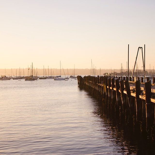 San Diego winter. #sandiego #sd #leftcoast #photoadventure