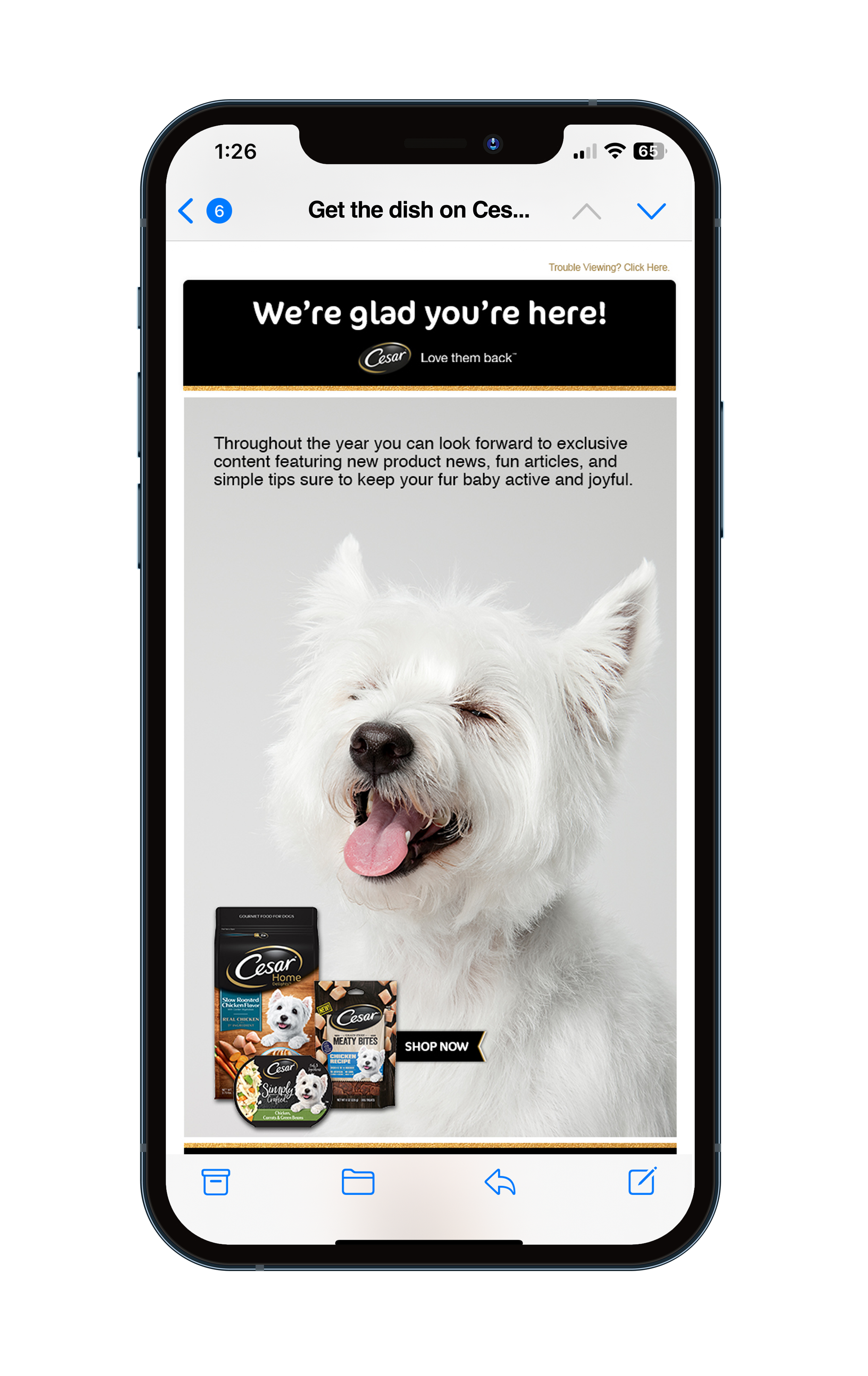 Cesar_email mockups_getthedish.png