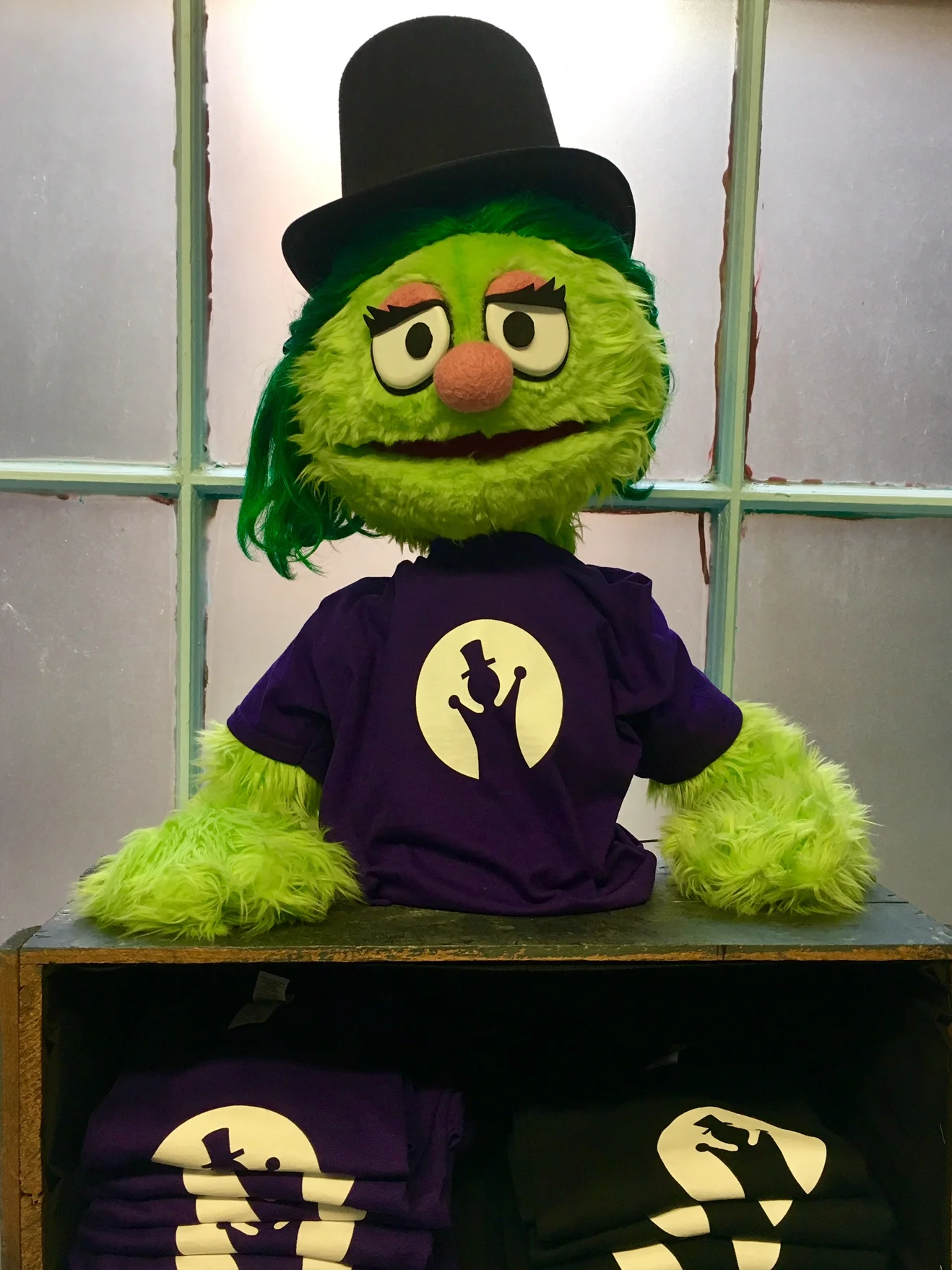 New: T-shirts in adult and child sizes! 
