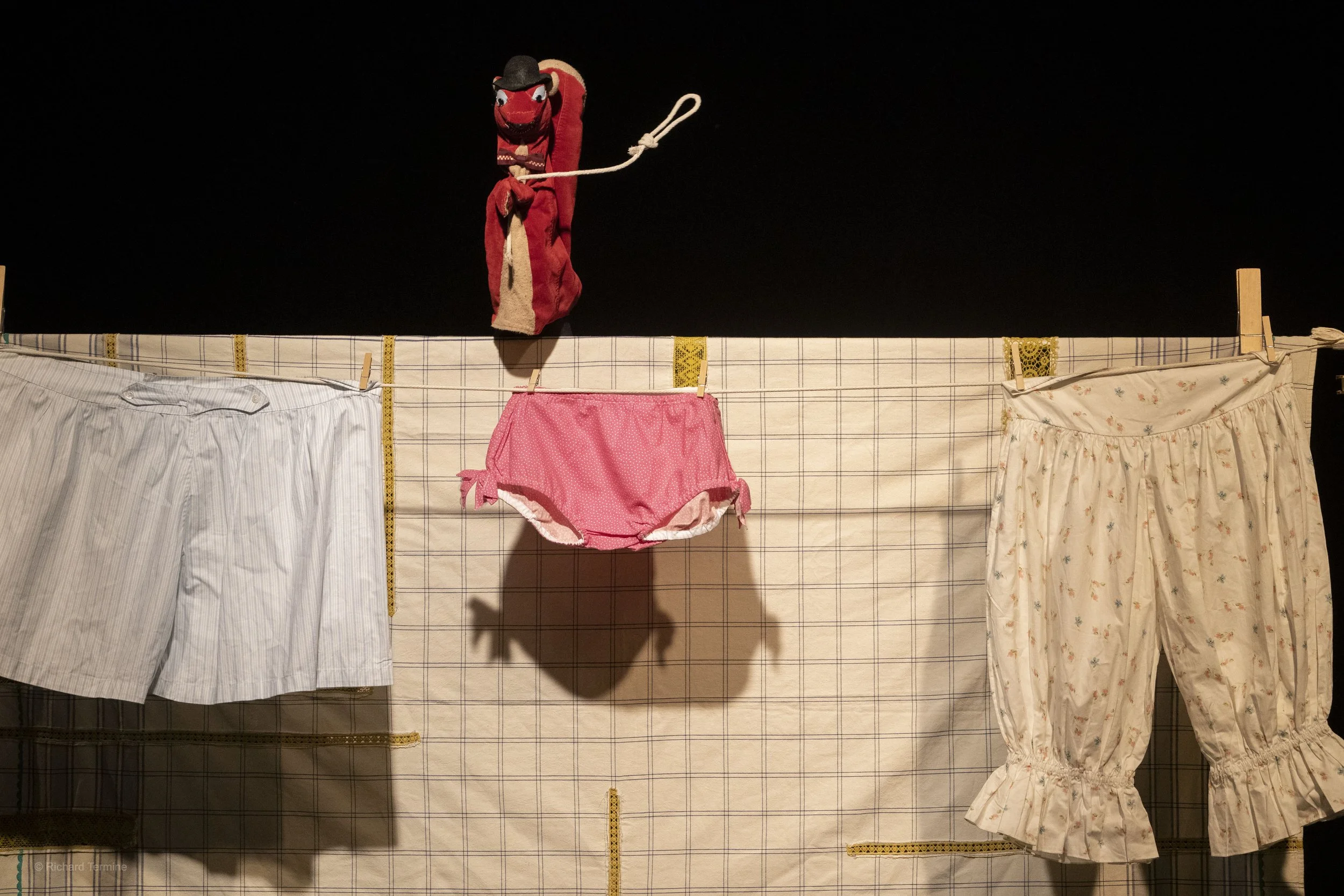SquirrelStoleMyUnderpants1_photobyRichardTermine.JPG