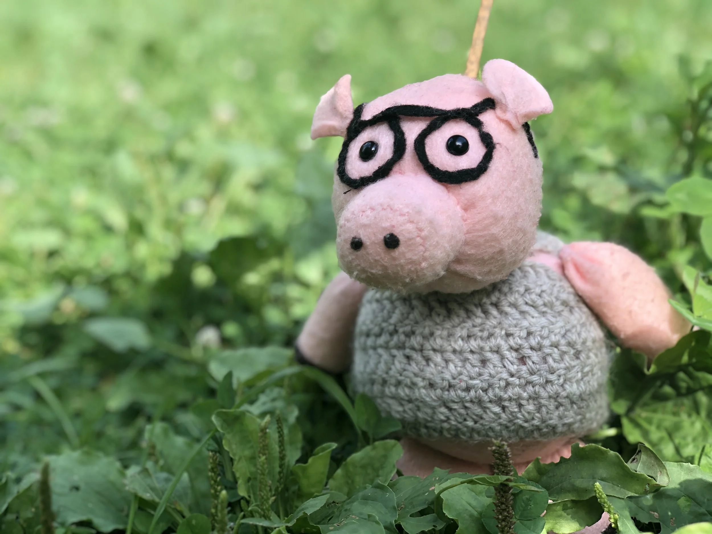 2020_08_04___Three_Little_Pigs___Youngest_Chad Williams.jpg