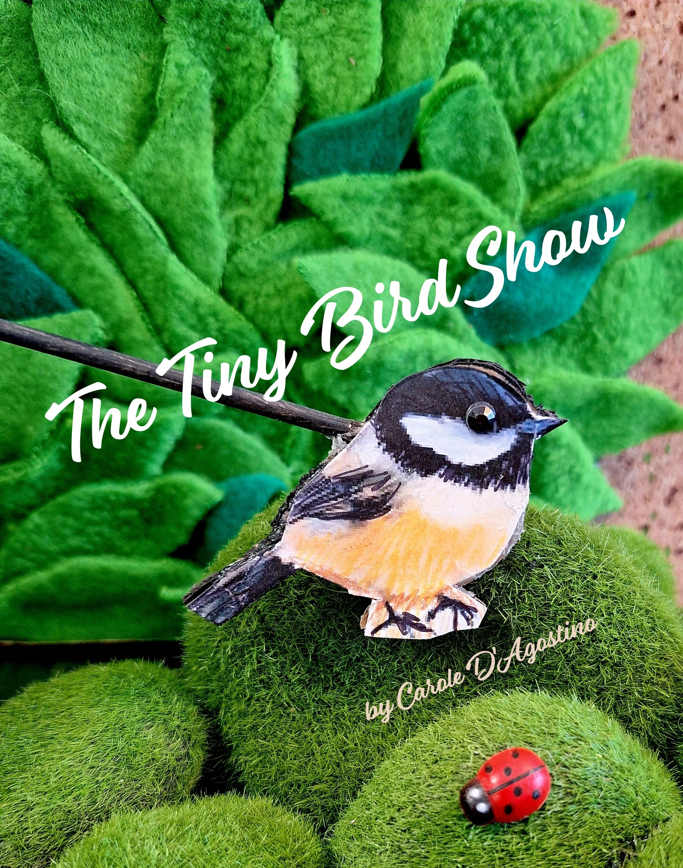 TinyBirdShow_with_Title_Dagostino_MA_state_bird_Carole Dagostino.jpg
