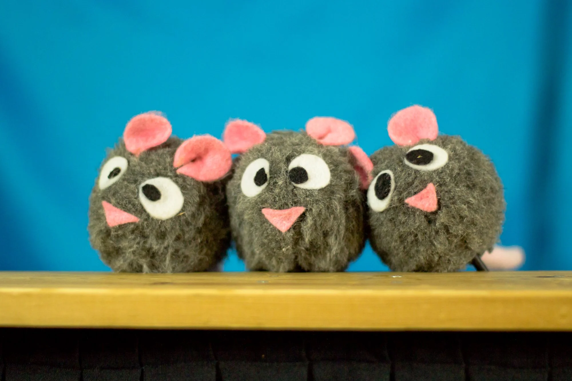 rats_pied_piper_14924248014_7e8b957410_o.jpg